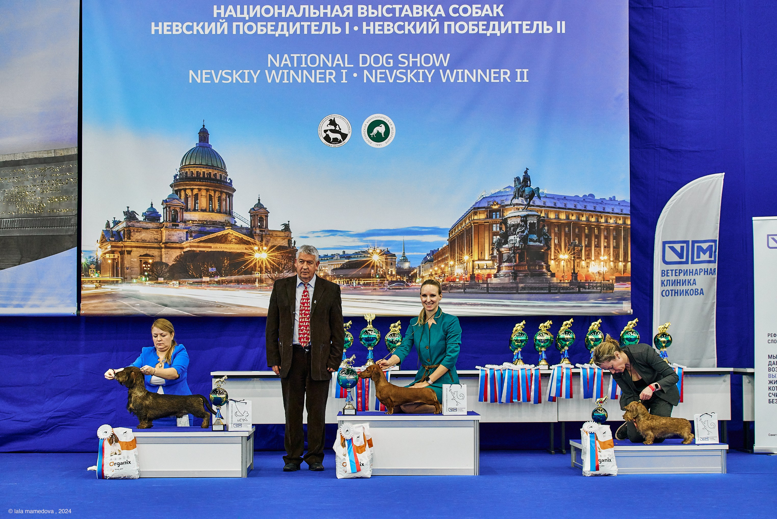 РЕЙТИНГОВАЯ ВЫСТАВКА СОБАК ВСЕХ ПОРОД С ОСОБЫМ СТАТУСОМ"НЕВСКИЙ ПОБЕДИТЕЛЬ-2024-2"
