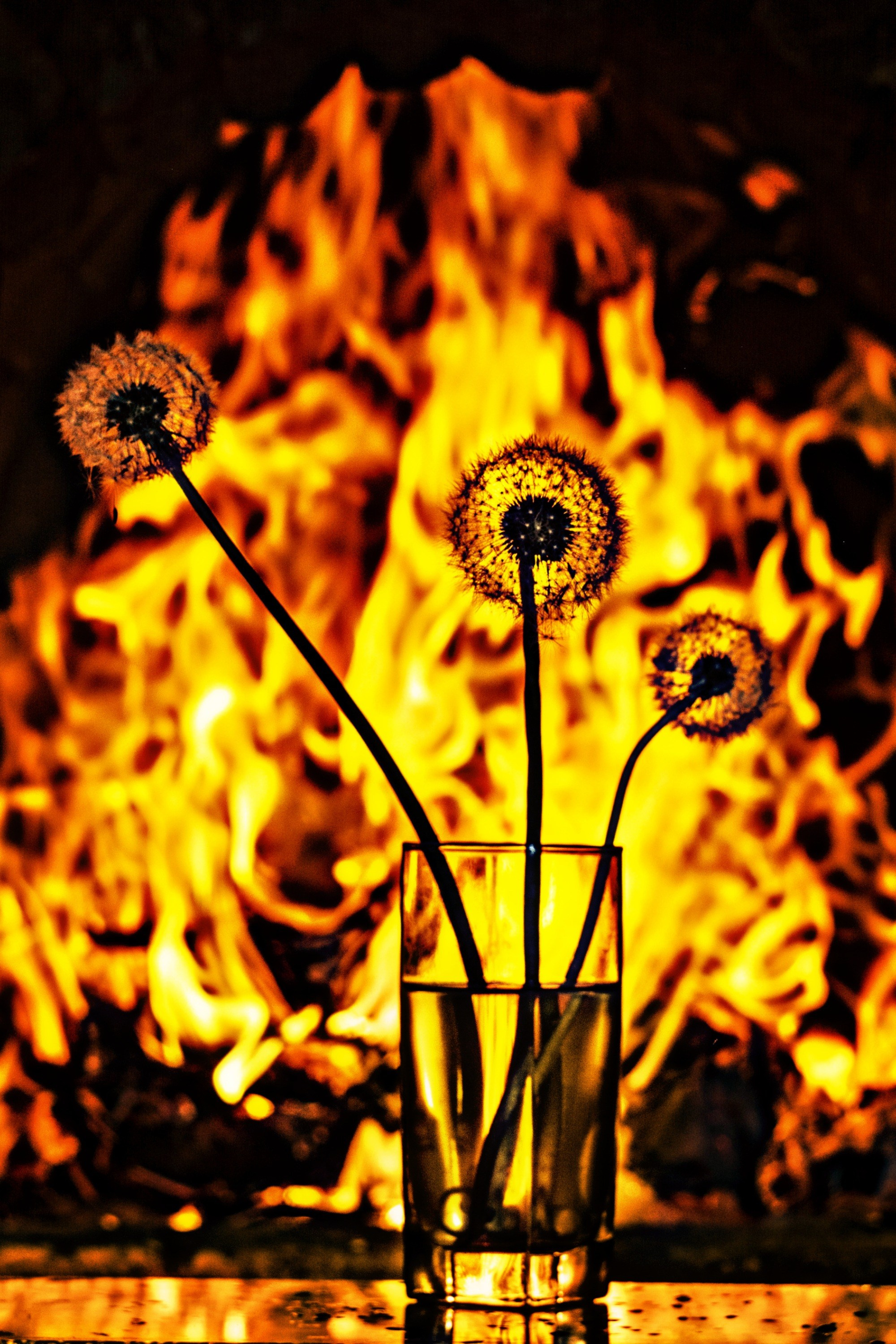 Предметная съёмка. Главная