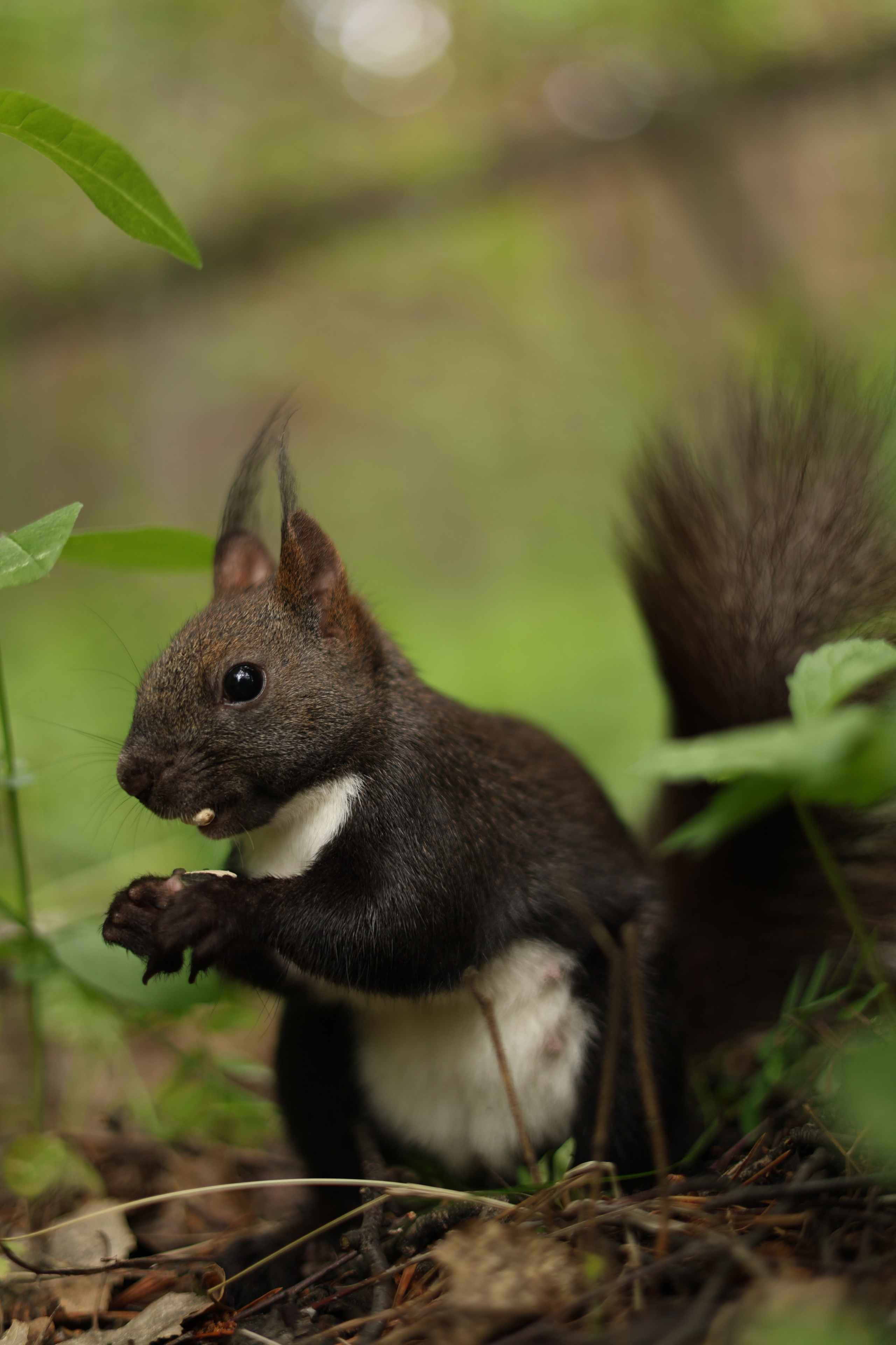 ПОЙМАЛА. Фотограф Красноярск съемки лавстори, фотосессия в студии, портретная съемка, творческие фотосессии