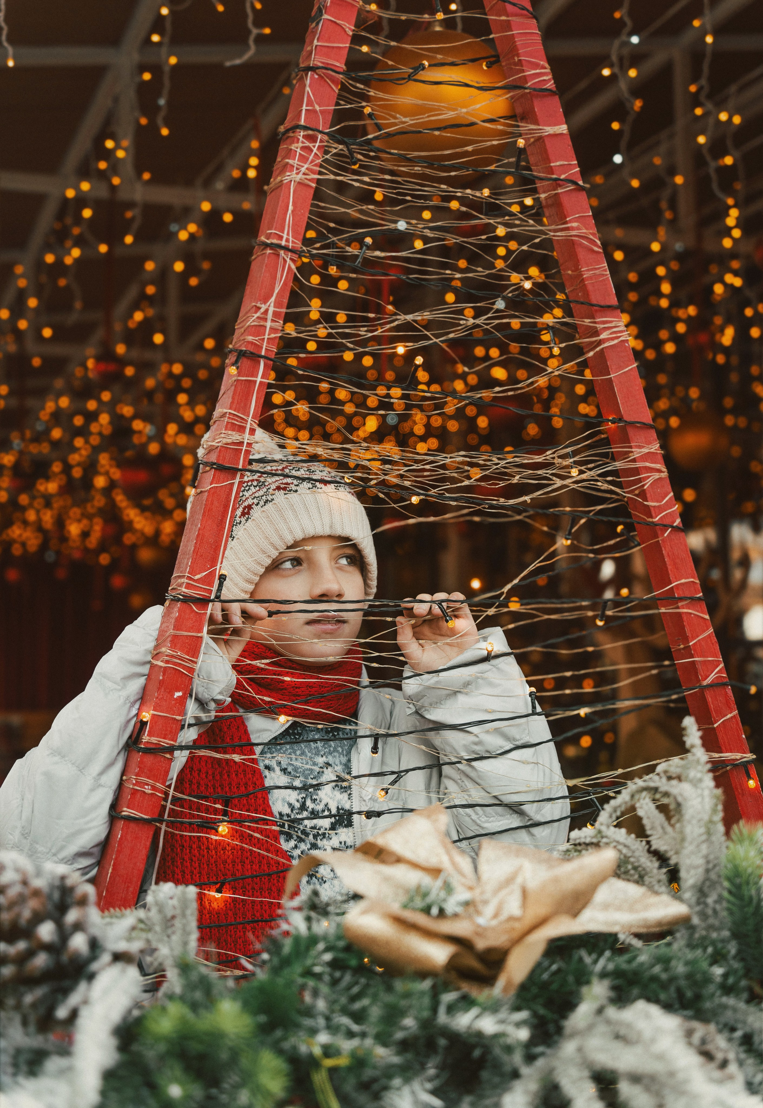 Один дома. Семейный фотограф анималист г. Находка