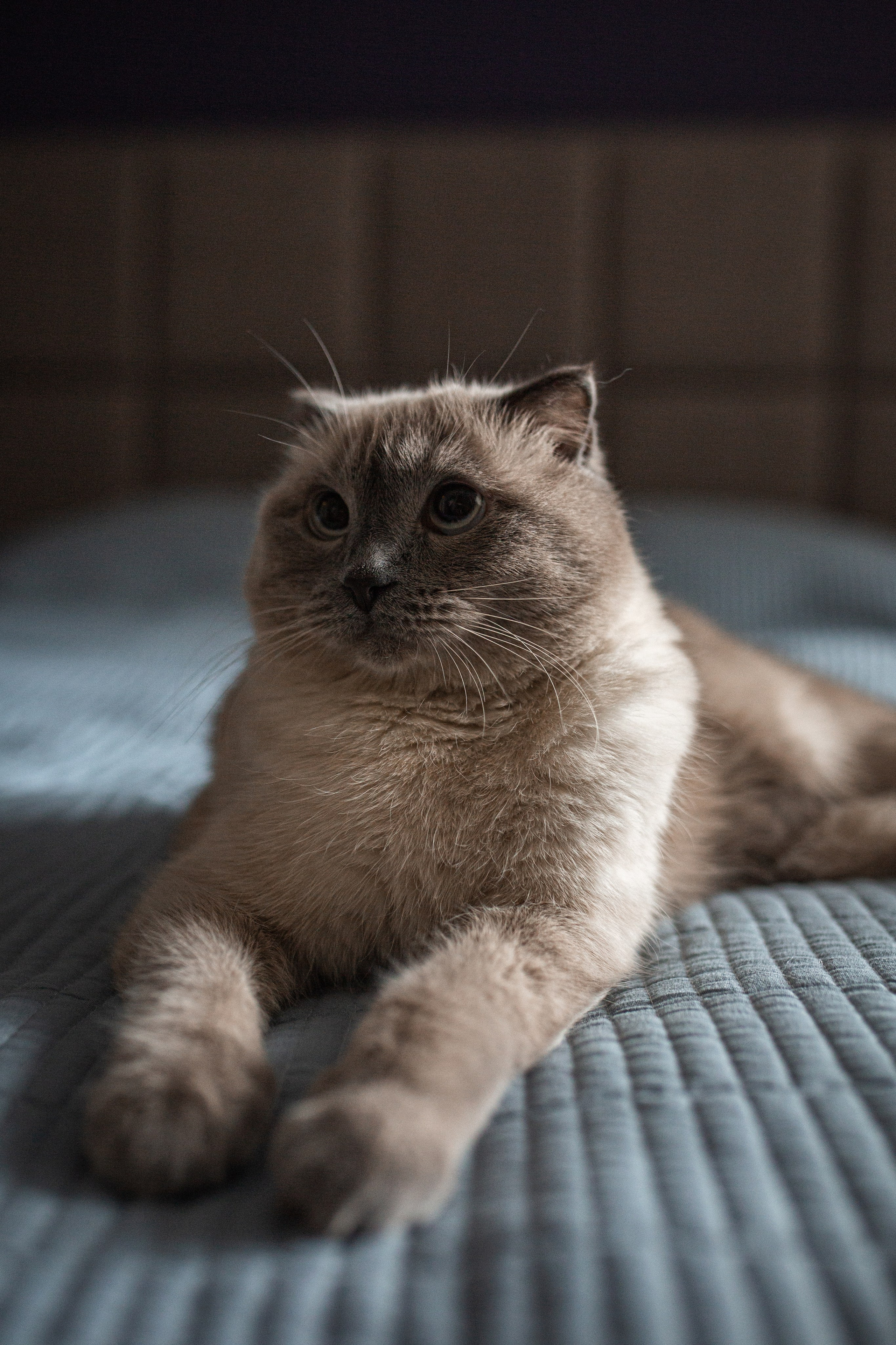 Ты-моя Вселенная🖤. Фотограф Санкт-Петербург