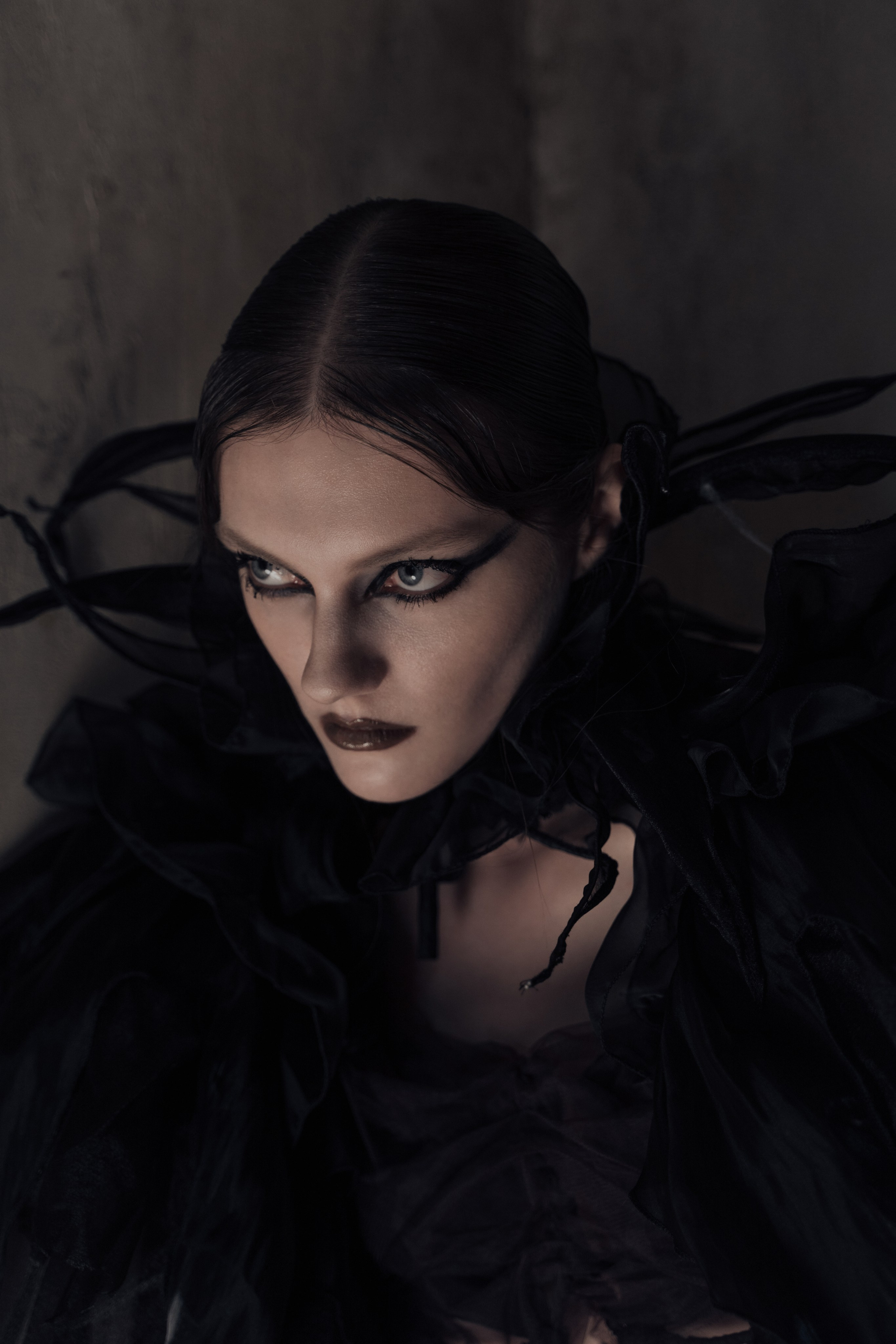 Паук. Фотограф Anita Mivchas
