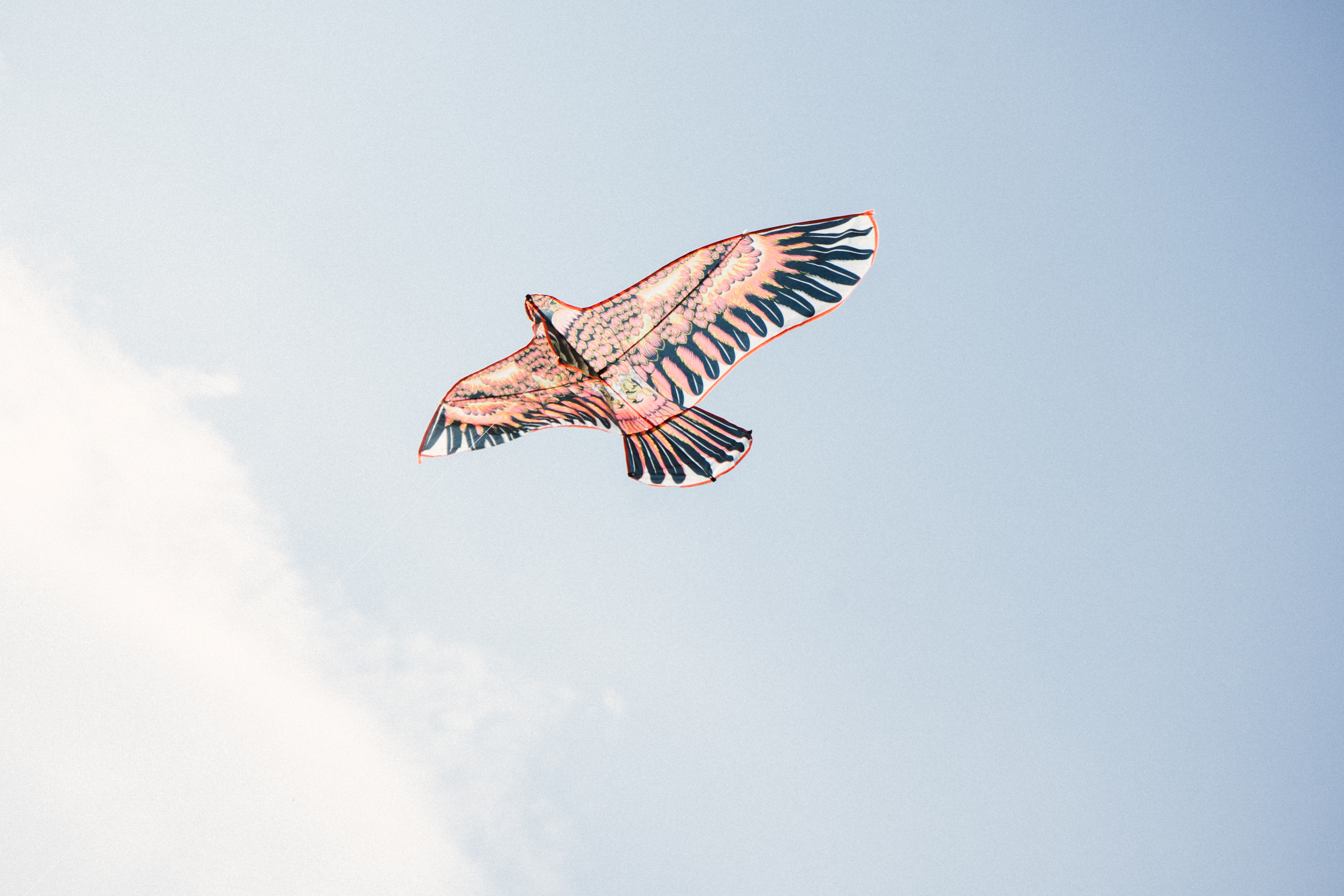 Летучие мечты. Семейный lifestyle и контент фотограф, г. Бронницы Крылова Анна