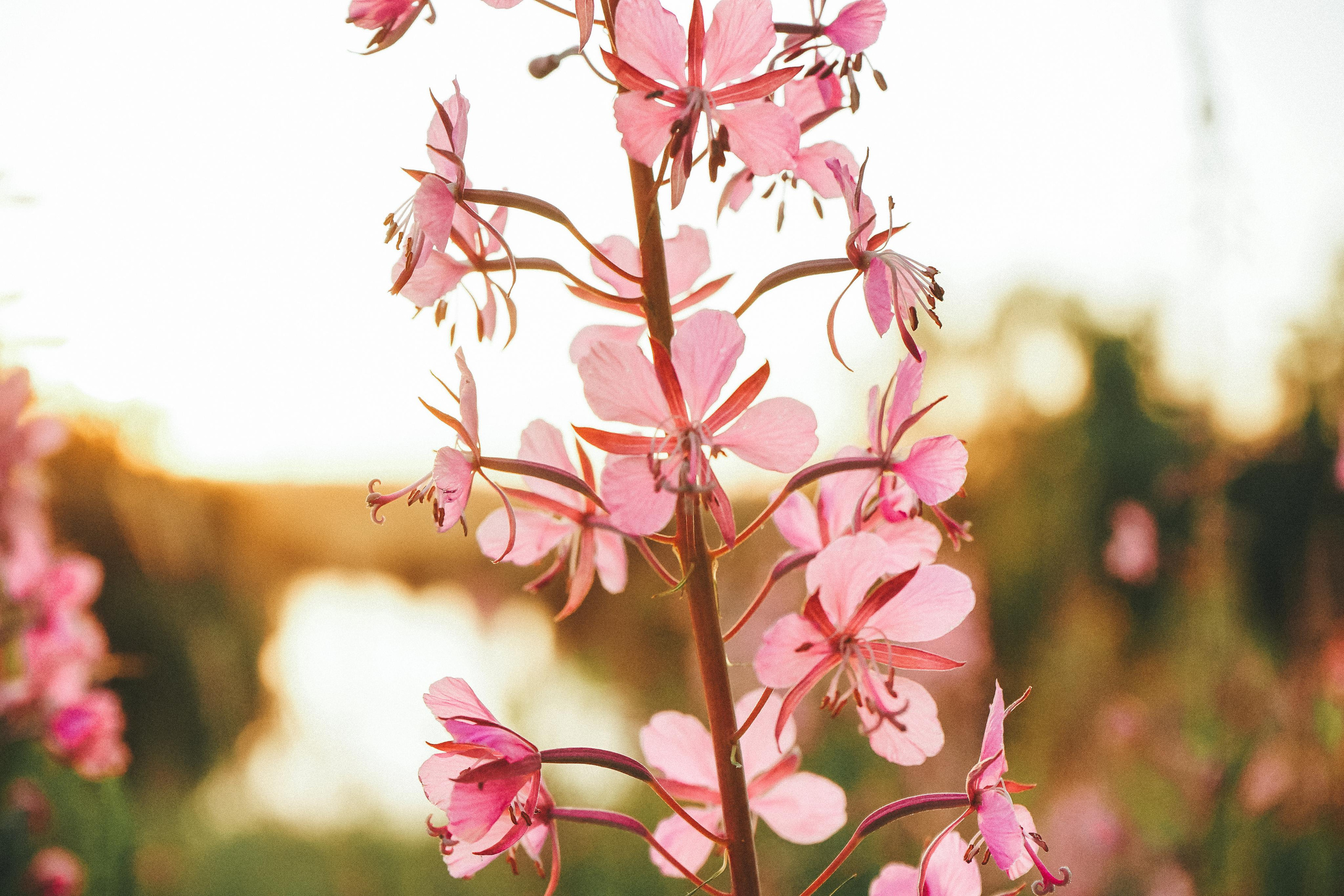 Фотосессия Томы. Семейный lifestyle и контент фотограф, г. Бронницы Крылова Анна