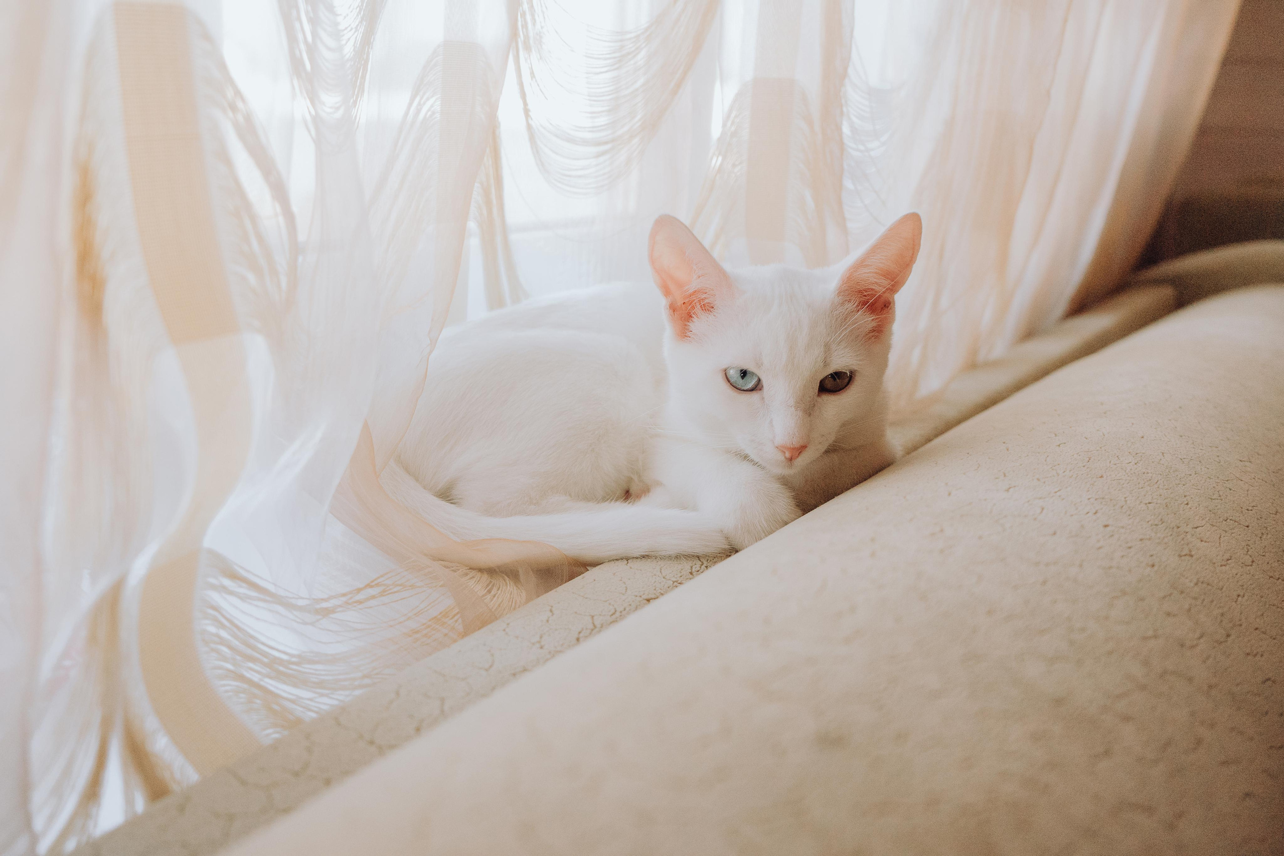 Блинная история. Семейный lifestyle и контент фотограф, г. Бронницы Крылова Анна