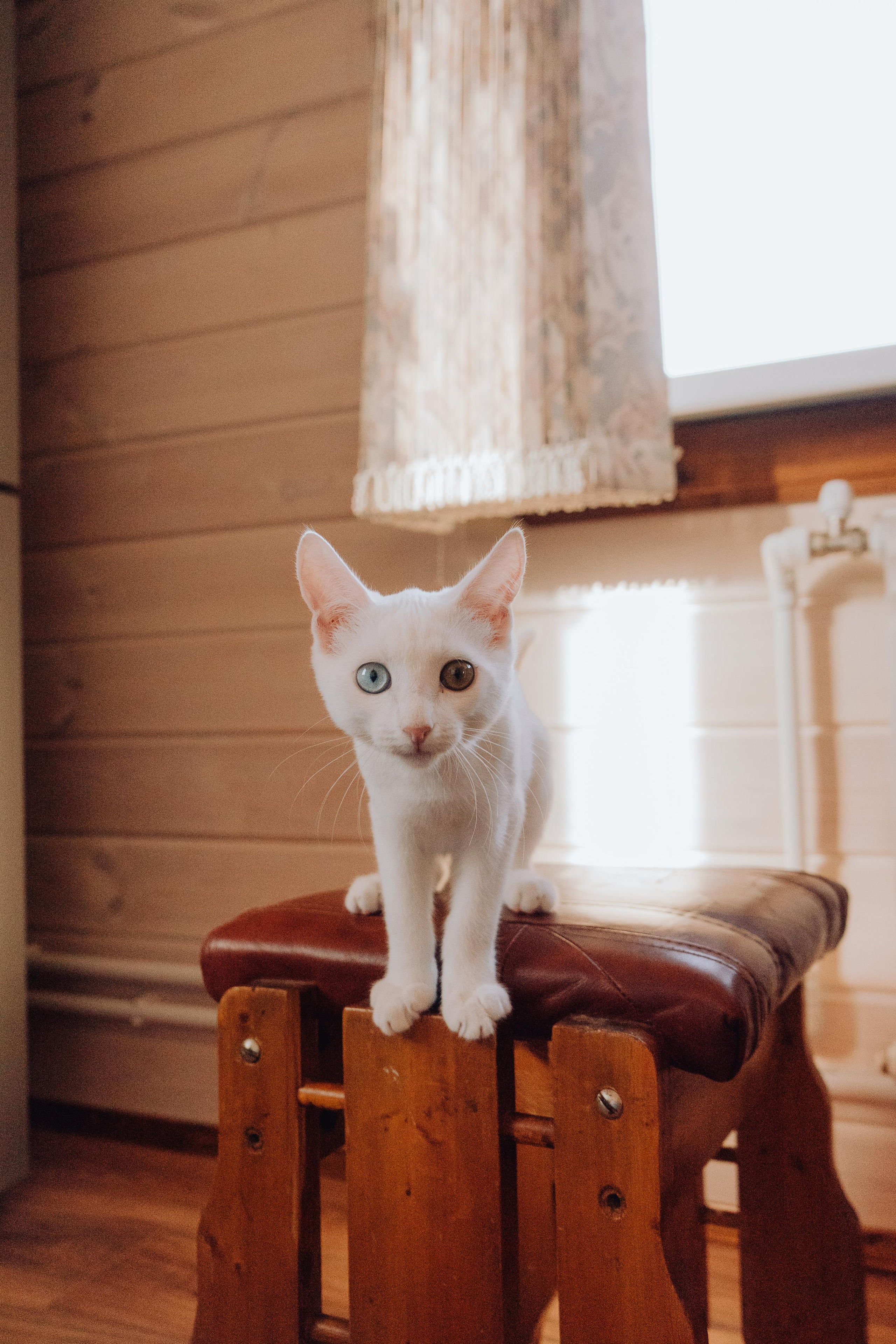 Блинная история. Семейный lifestyle и контент фотограф, г. Бронницы Крылова Анна