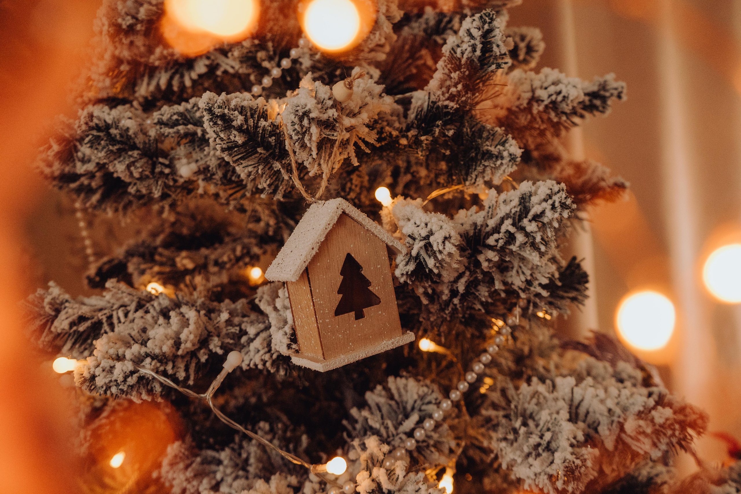 Скоро новый год. Семейный lifestyle и контент фотограф, г. Бронницы Крылова Анна