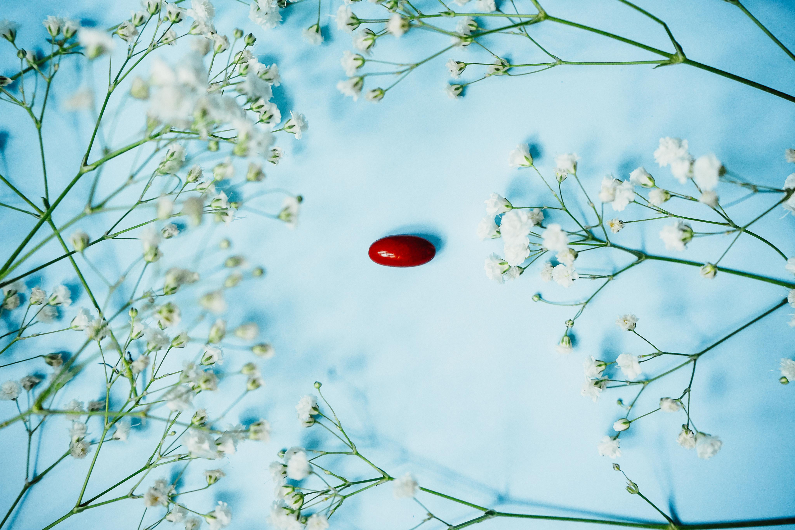 SIBERIAN WELLNESS. Семейный lifestyle и контент фотограф, г. Бронницы Крылова Анна