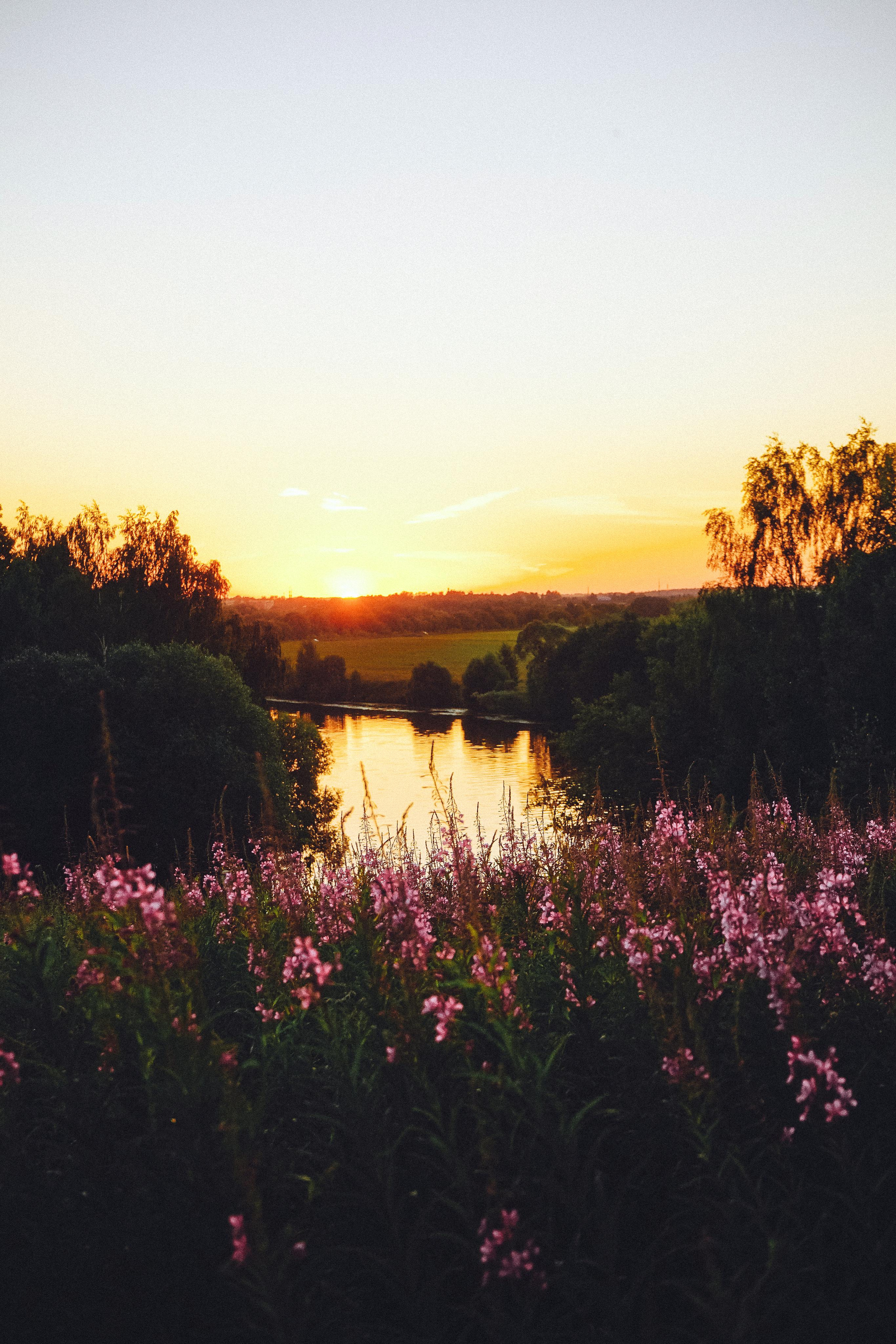 Фотосессия Томы. Семейный lifestyle и контент фотограф, г. Бронницы Крылова Анна