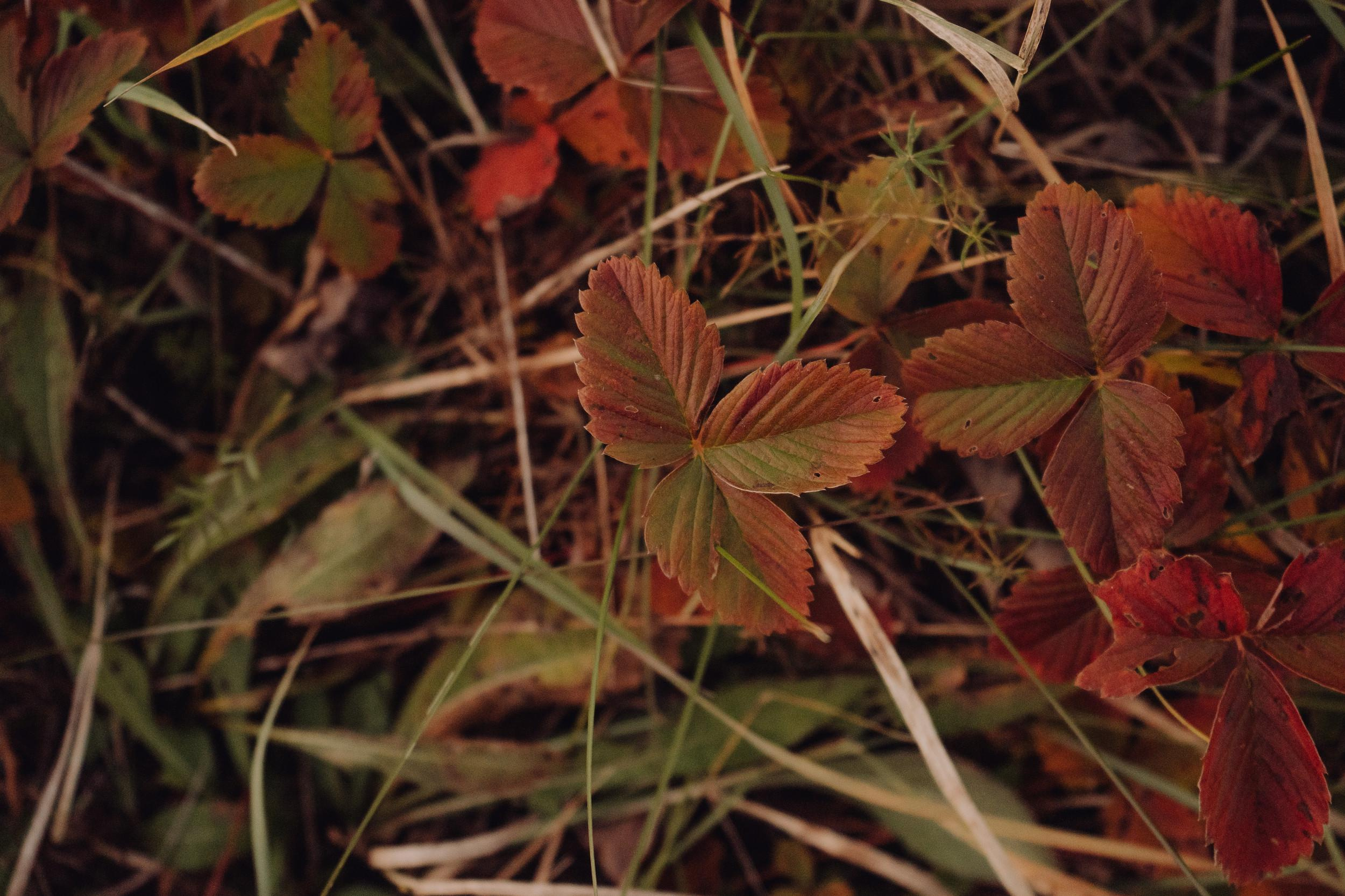 Счастливый день. Семейный lifestyle и контент фотограф, г. Бронницы Крылова Анна