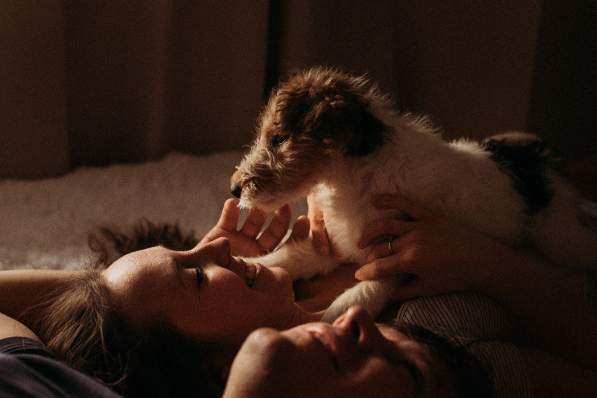 Ребята и фоксы. Фотограф Наталья Потапова