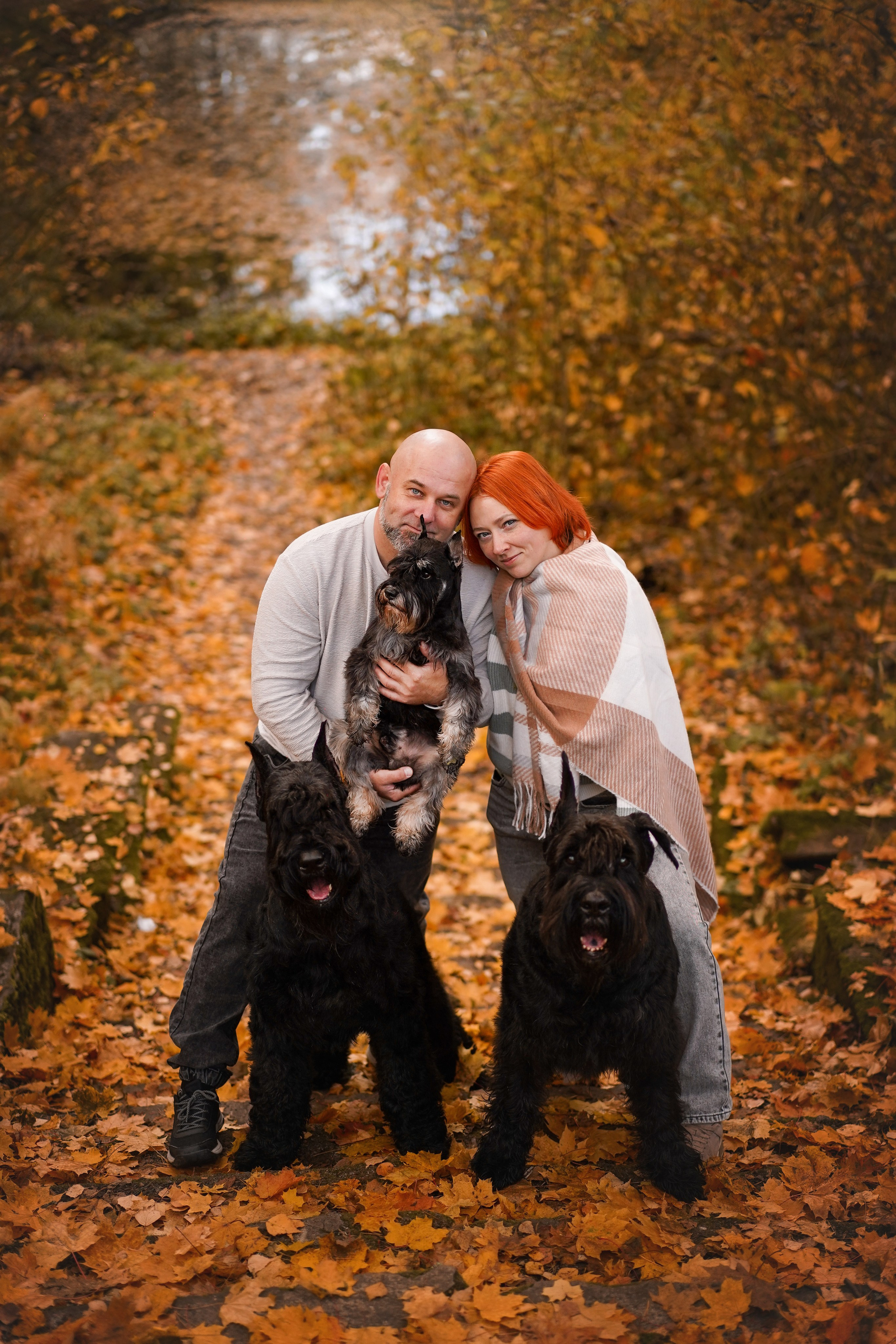 Оля Миша и шнауцеры. Фотограф-анималист в Санкт-Петербурге Яна Мартынова