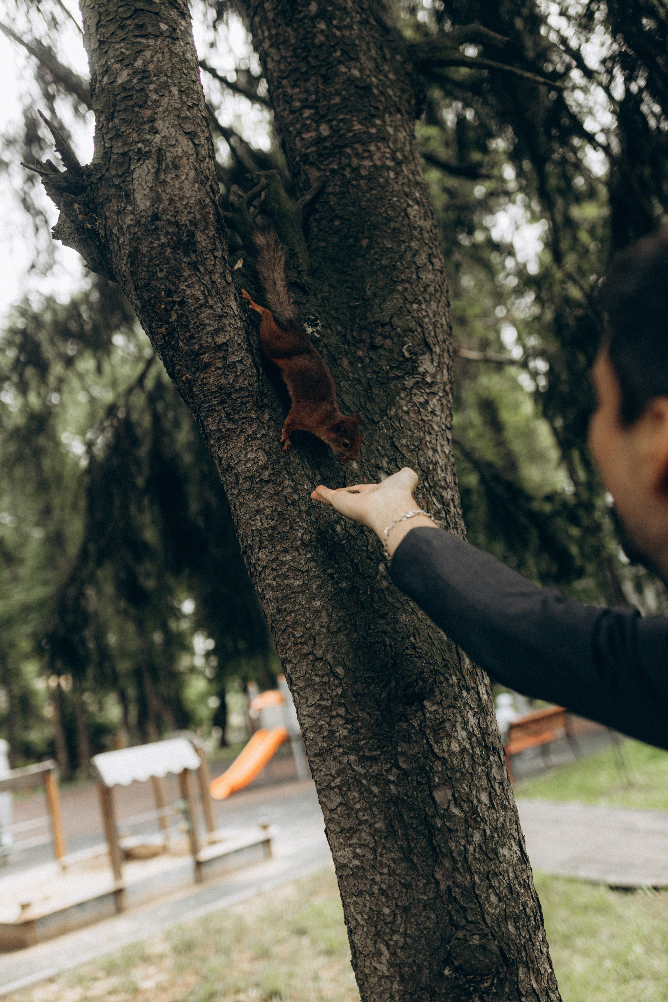 Юлия & Андрей. Фотограф НОГИНСК, Москва, Анастасия Белая
