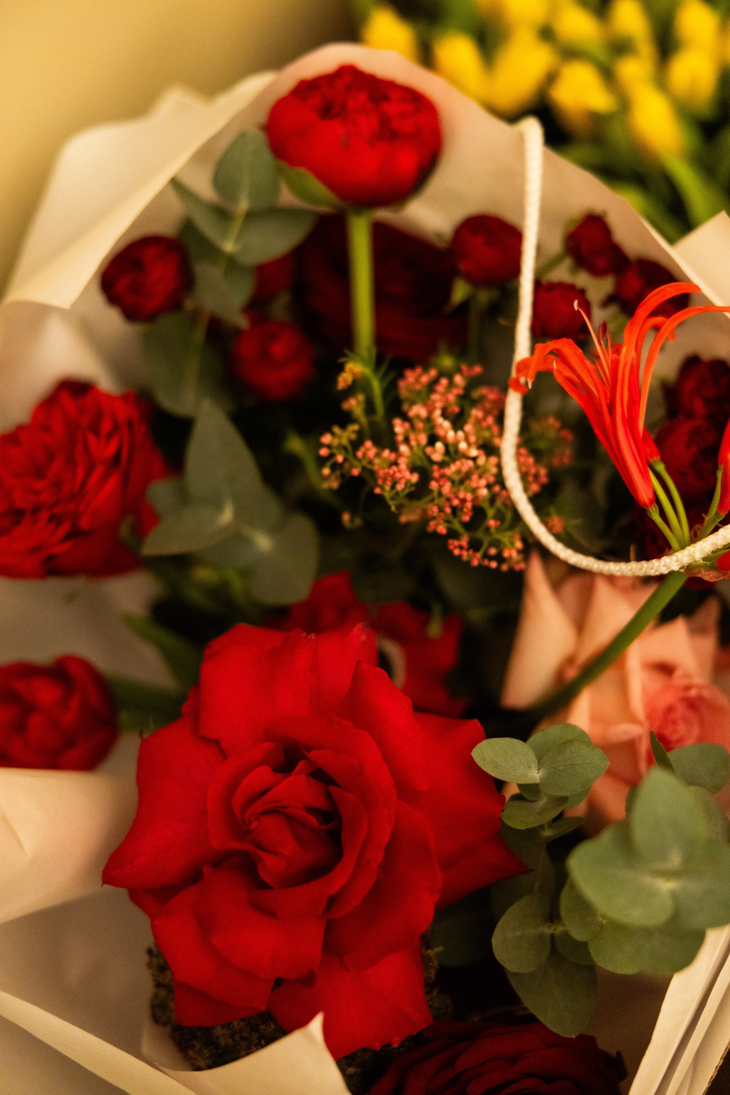 PrivateEvent. Главная