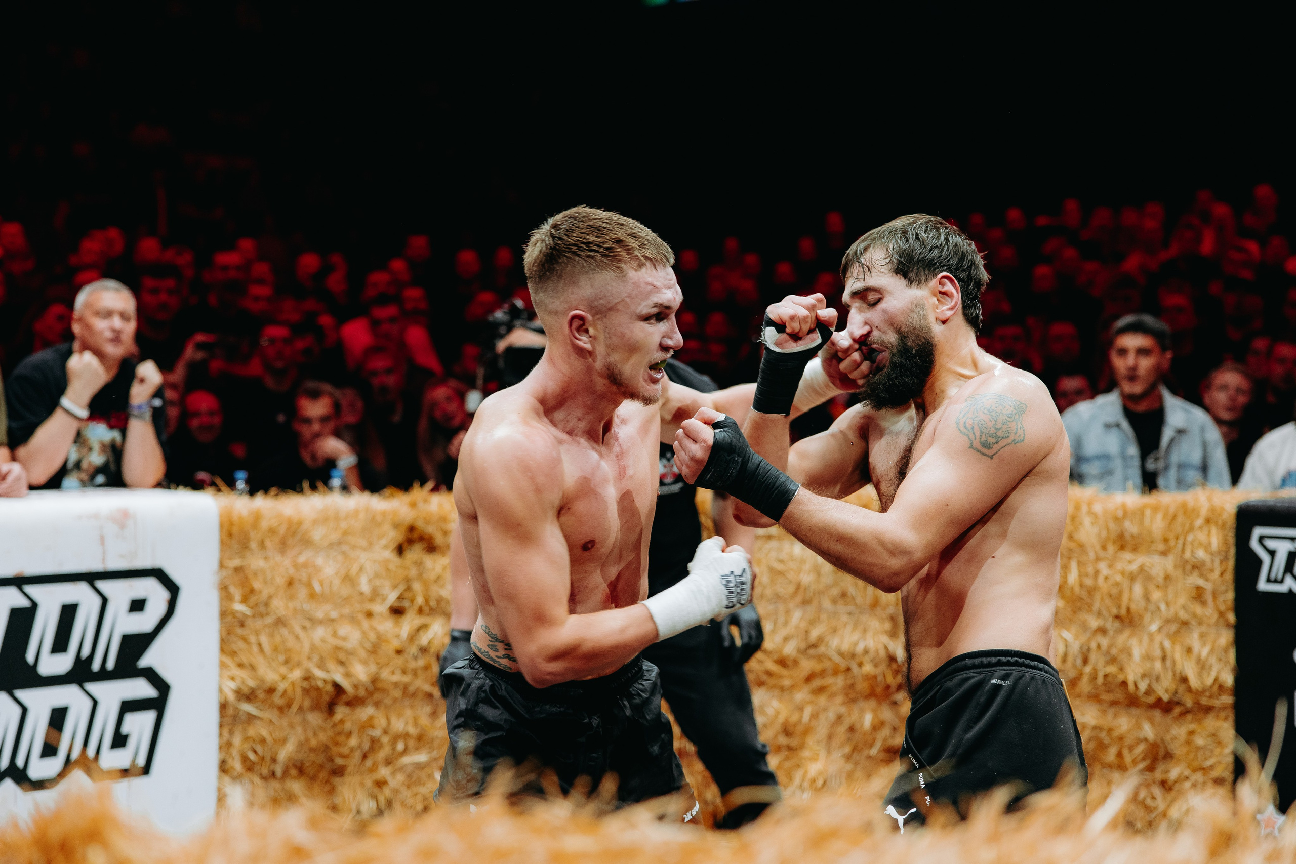 TOPDOG — 32. Фотограф в Саратове Александр Кухаренко. И не только в Саратове :)