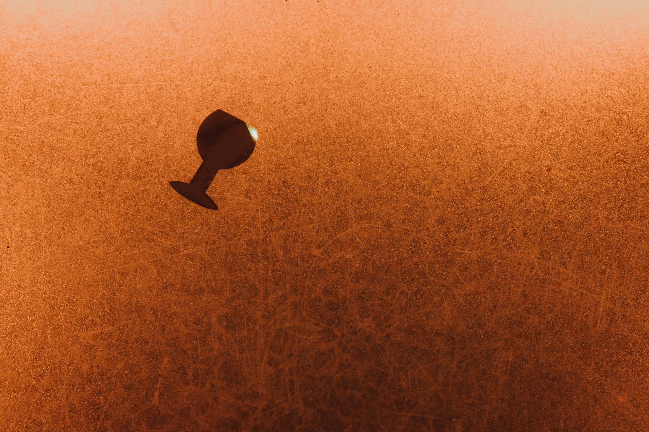 Валентина и Сергей. Свадебный и портретный фотограф в Москве Жердев Даниил