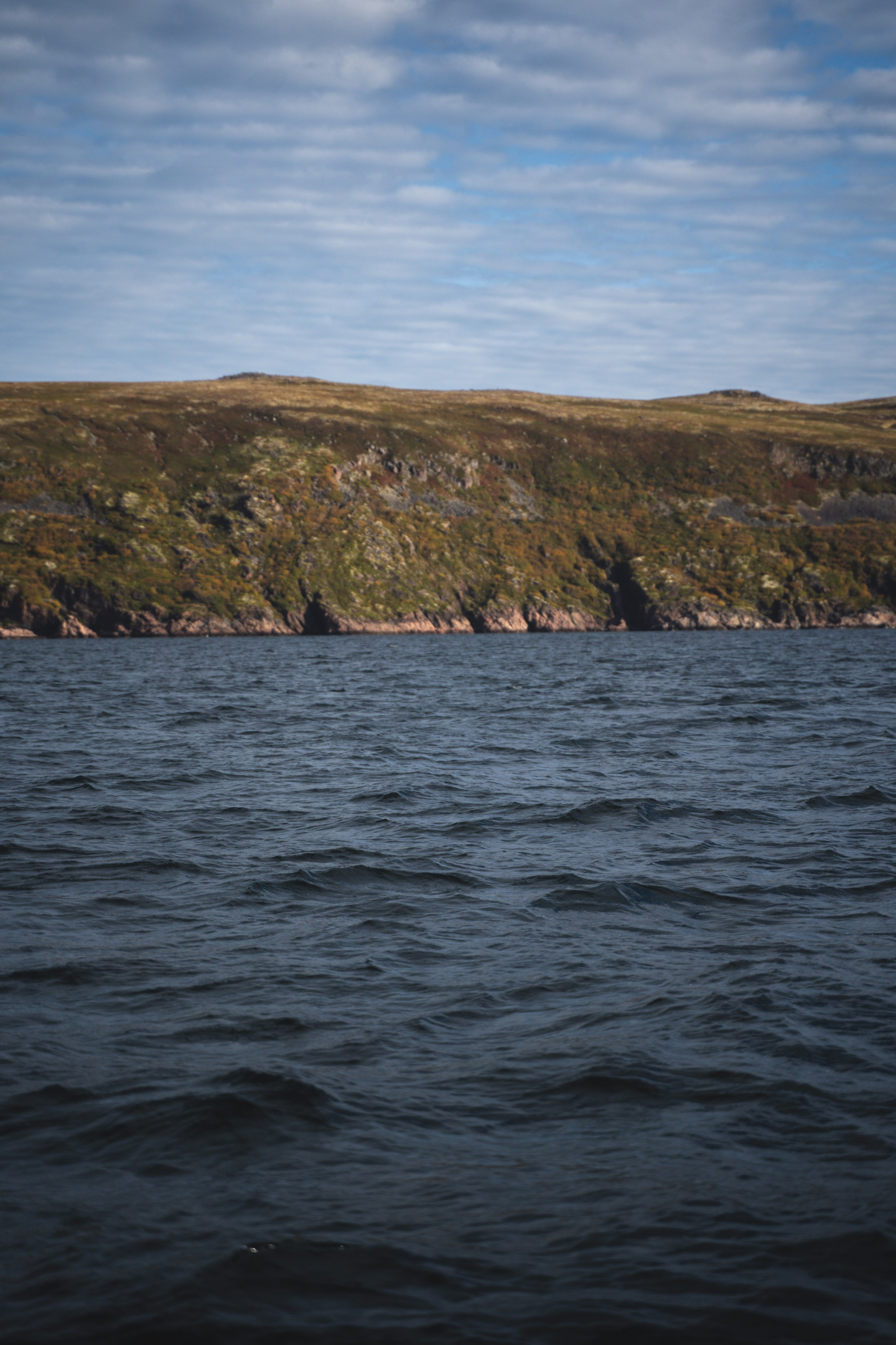 Териберка 2023. Фотограф Ольга Пучкова