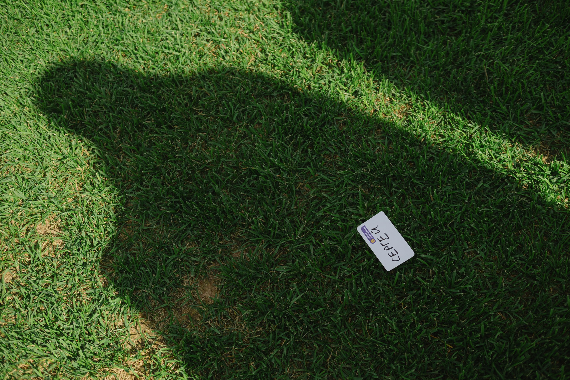 Газпром. Командная сессия. Репортажный фотограф в Санкт-Петербурге Евгений Перевалов