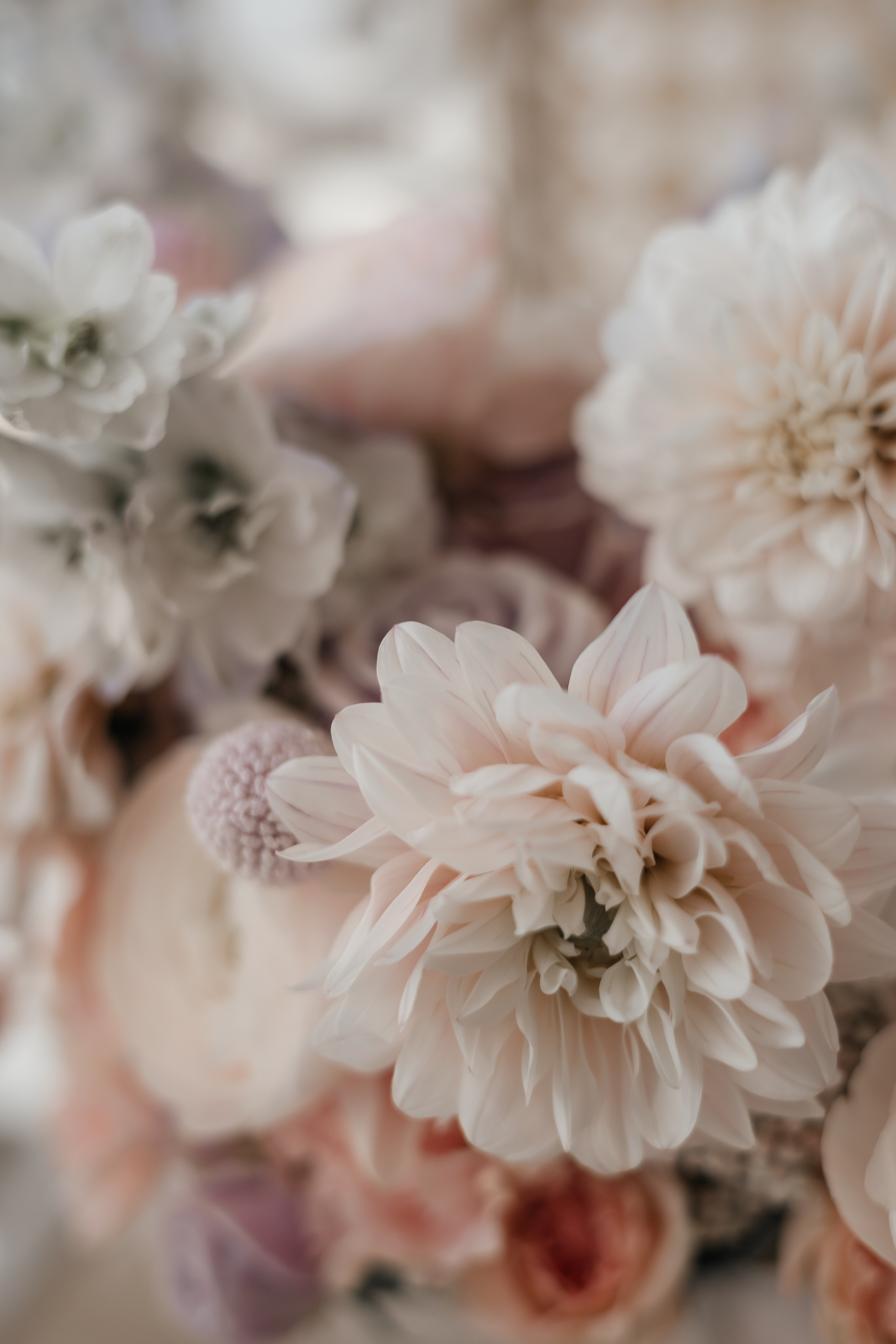 Оля и Влад. Главная