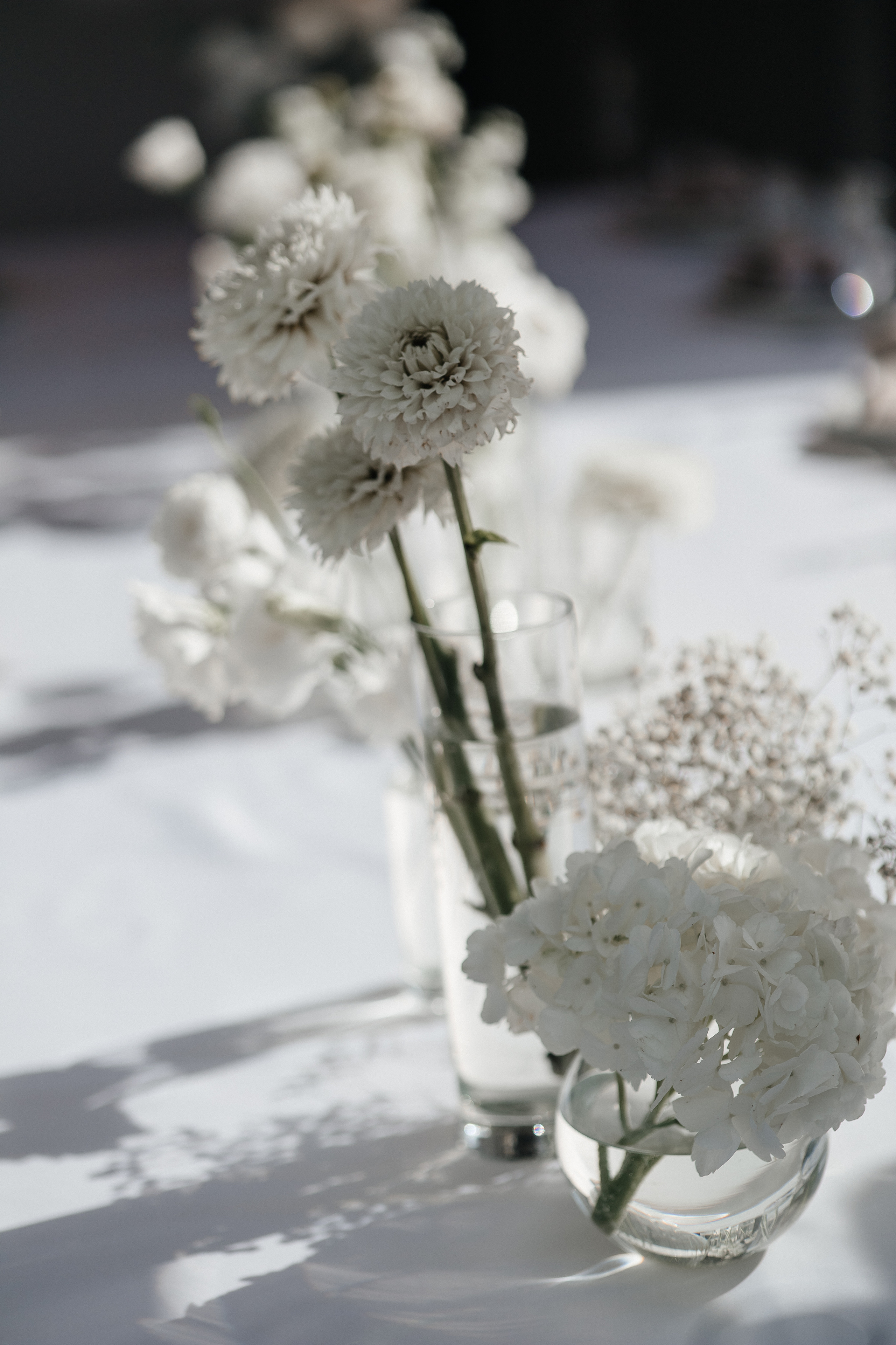 Виктория и Кирилл. Главная