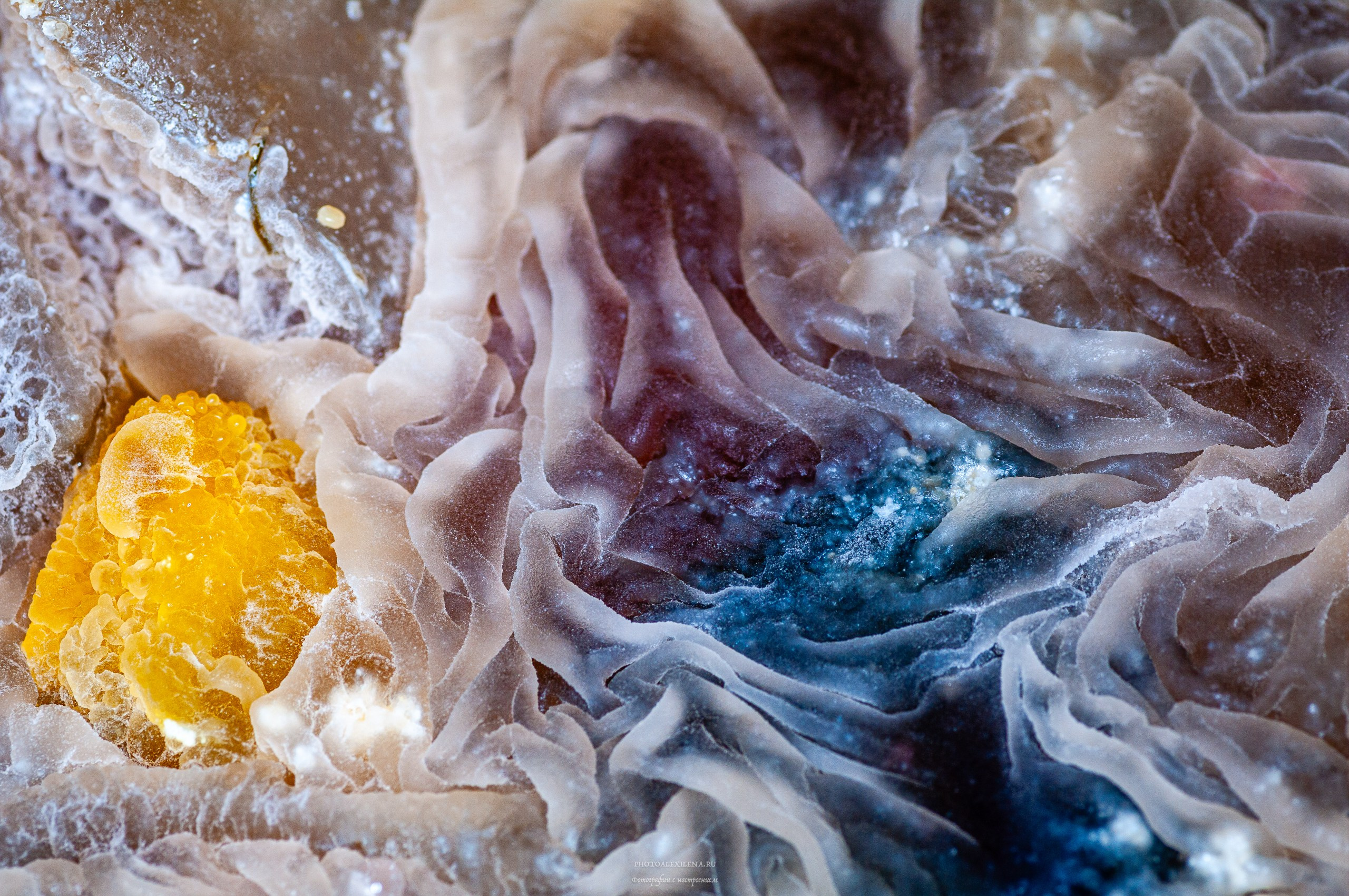 Осязаемая красота. Авторские стильные фотокартины