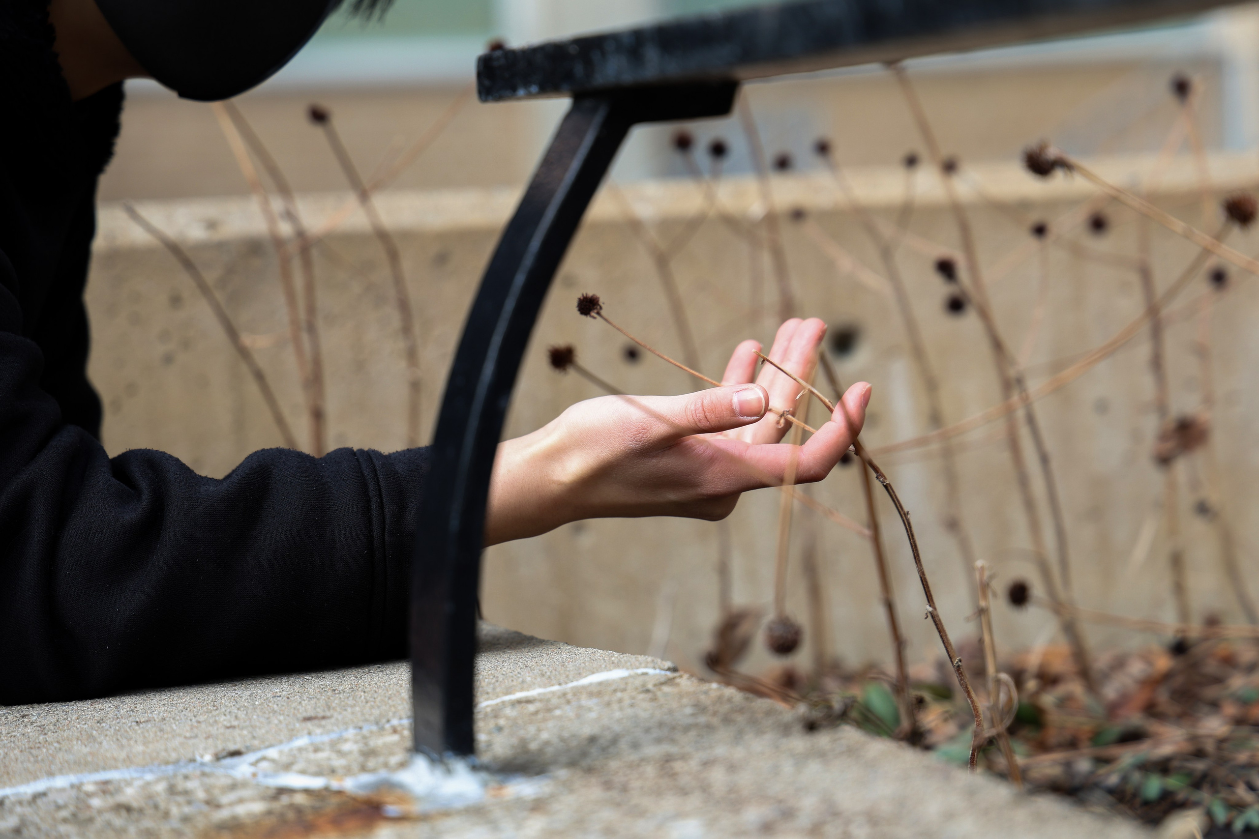 Rabbit. Portrait photographer based in Toronto — Blinova Mariia