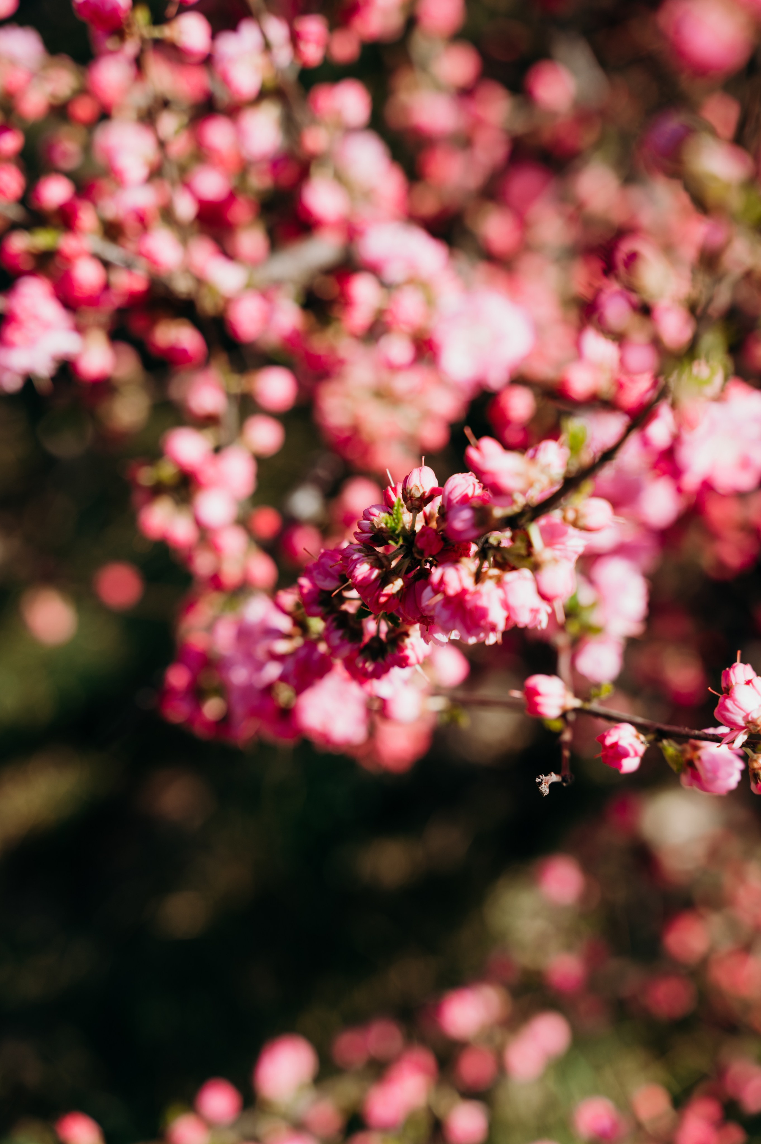 Сергей и Лидия. Фотограф в Абакане и Минусинске