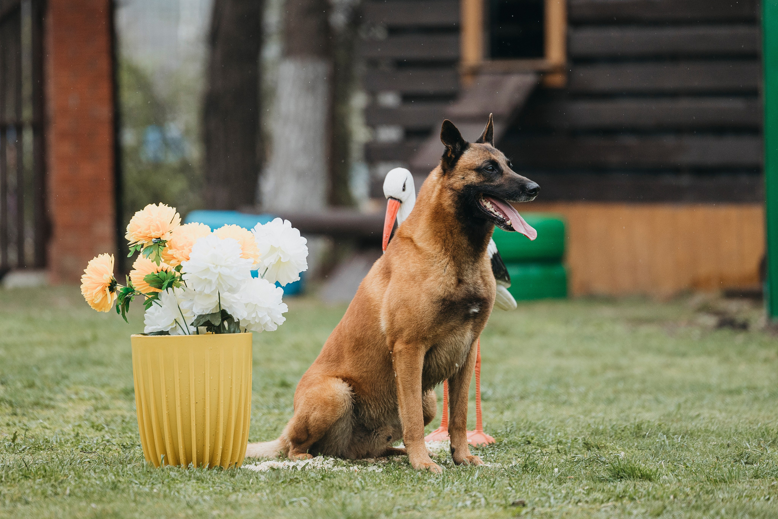 Геленджик Мондьоринг. Фотограф-анималист Анна Маринич