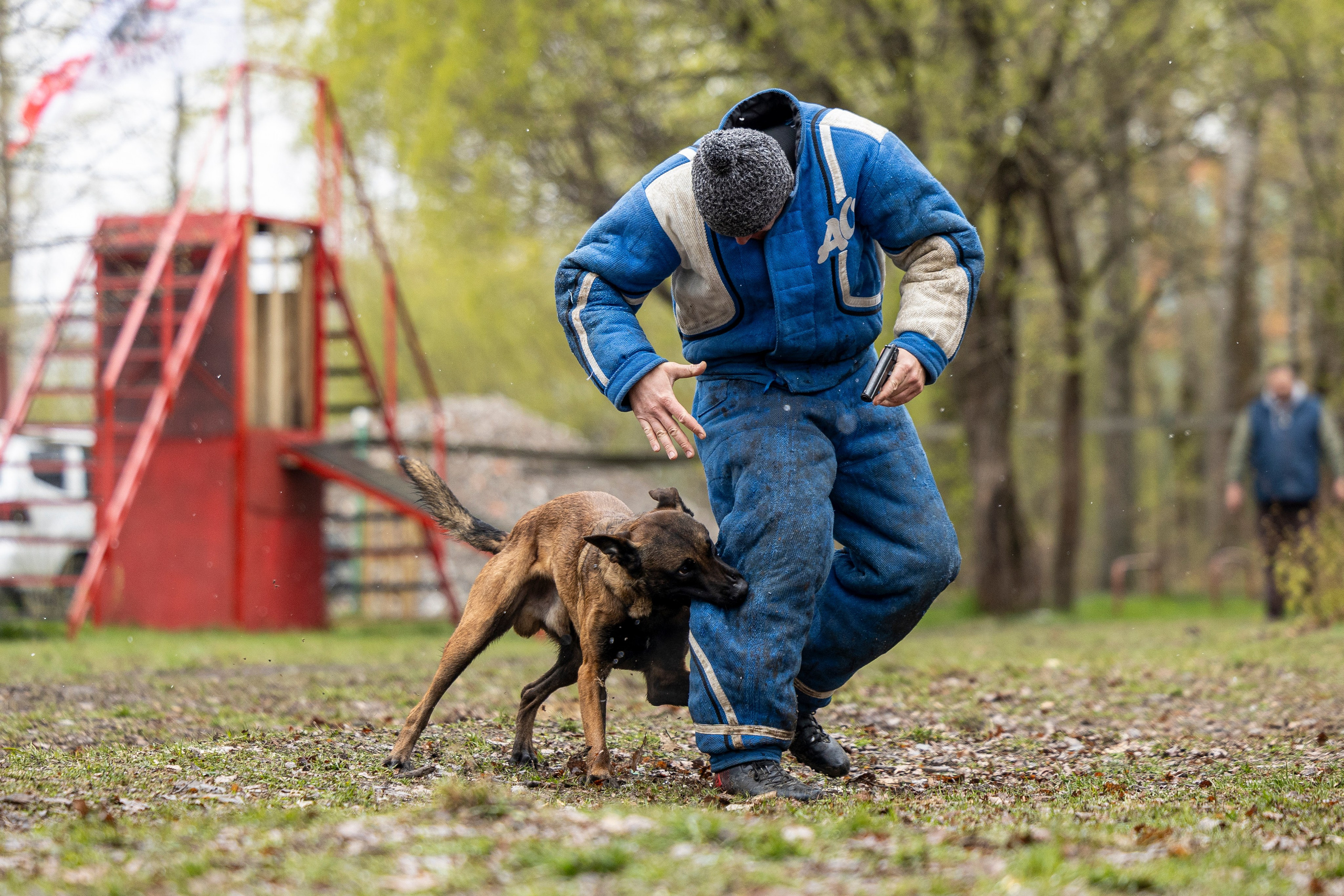 Квалификационные состязания по мондьорингу г. Вологда 11.05.24. Фотограф-анималист Анна Маринич