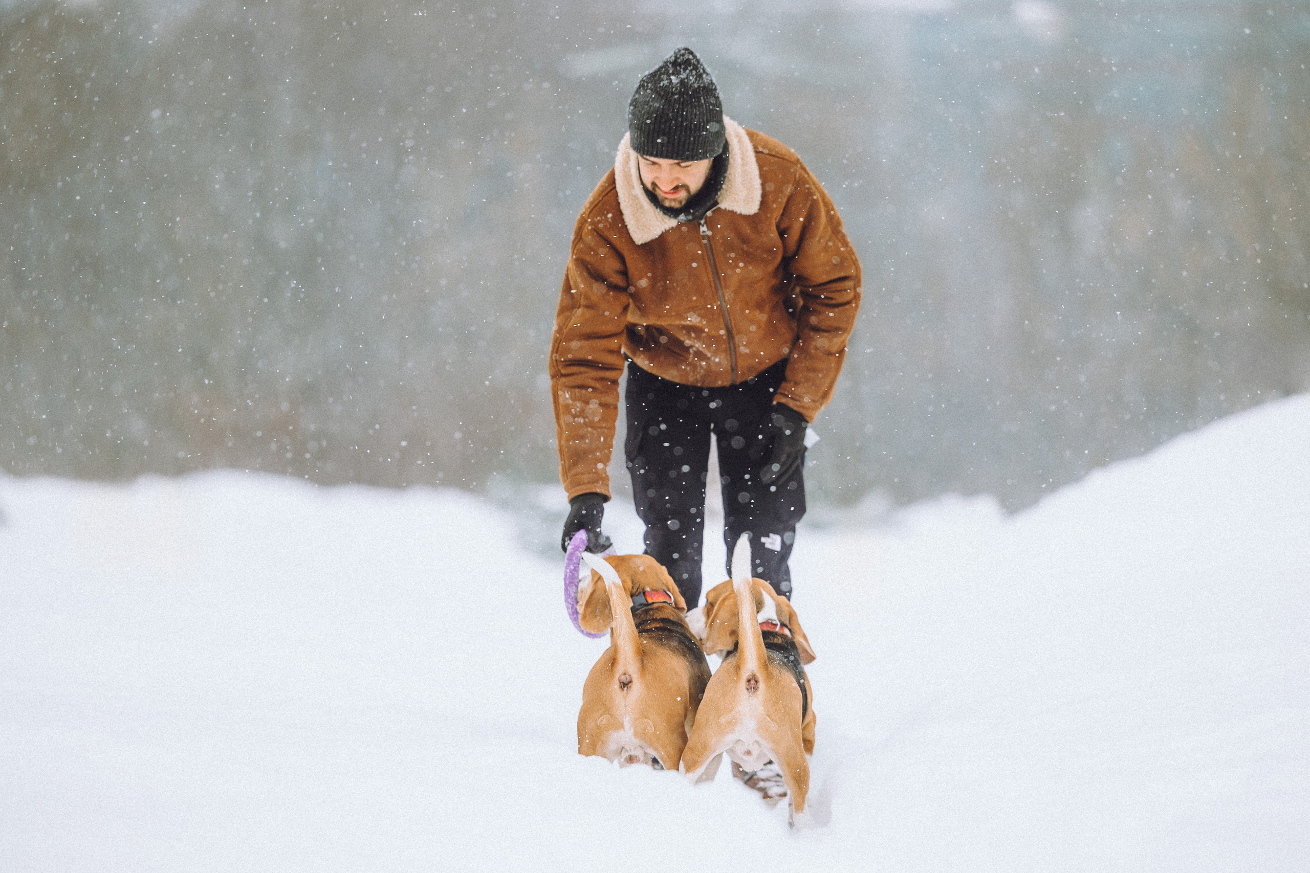 Роман, Портер и Коррес