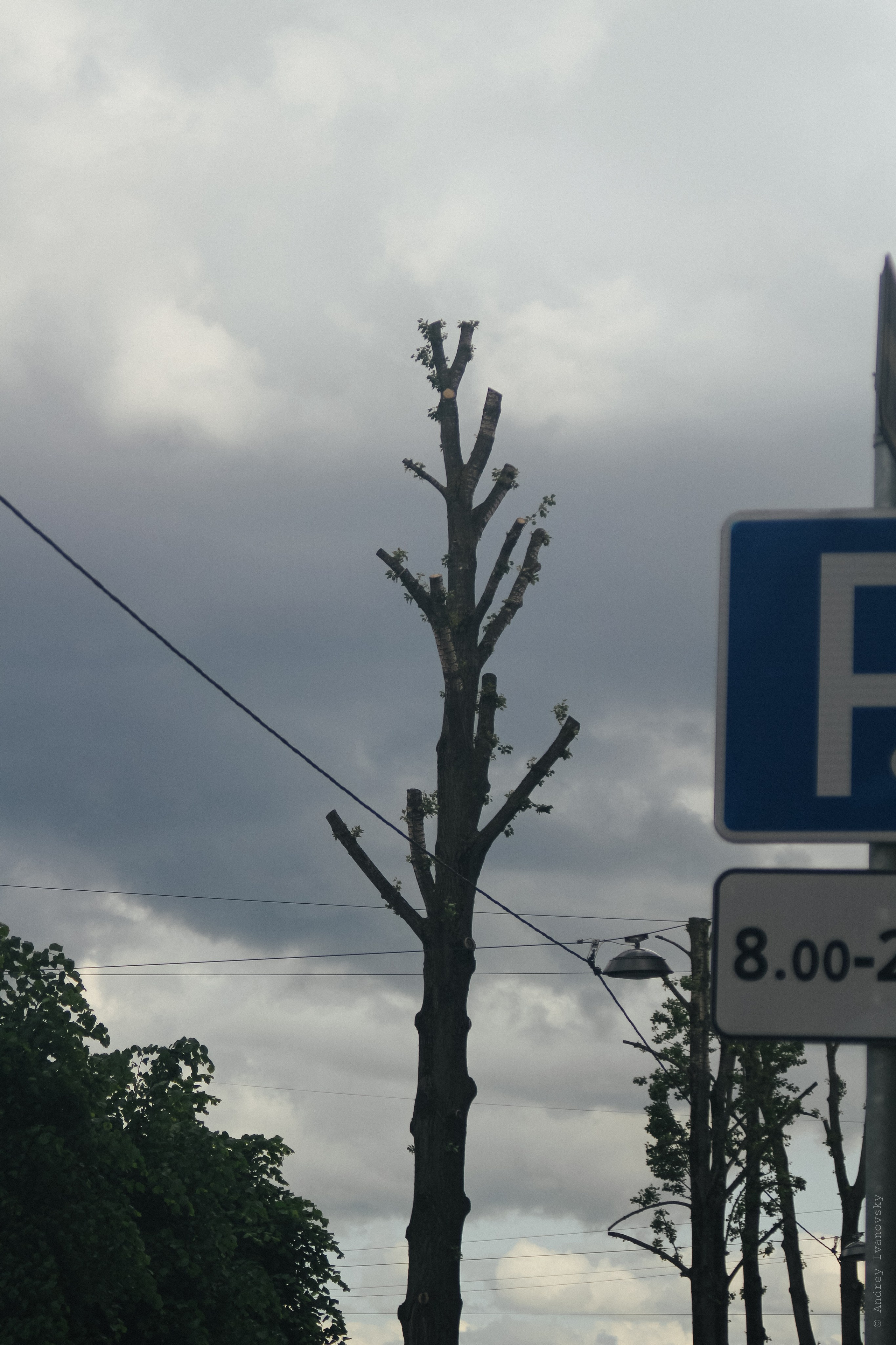 Невский и окрестности — Canon EF 35-70 Fixed. Famitsu