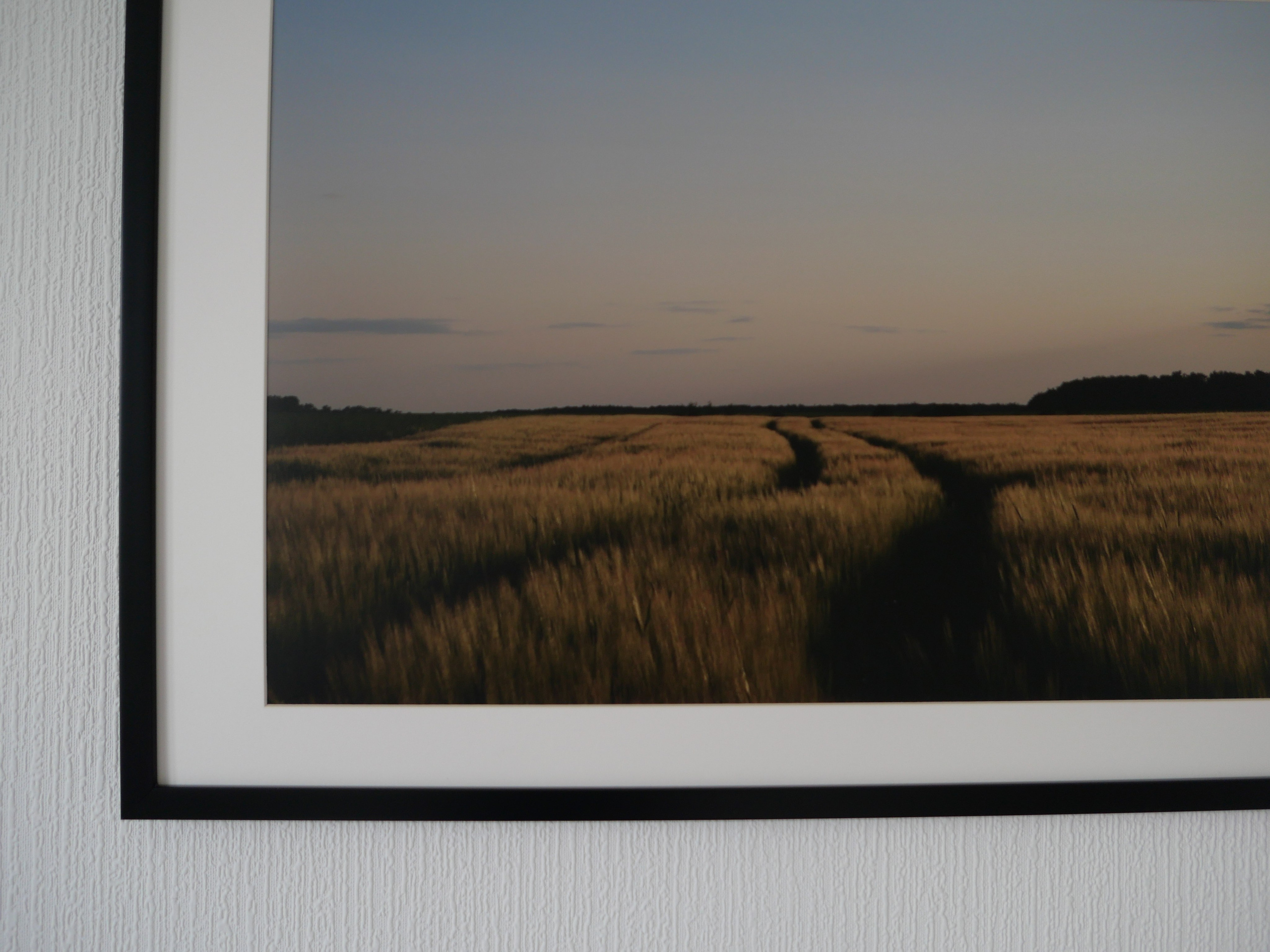 Принт 40см*60 см, паспарту, рама 50см*70 см