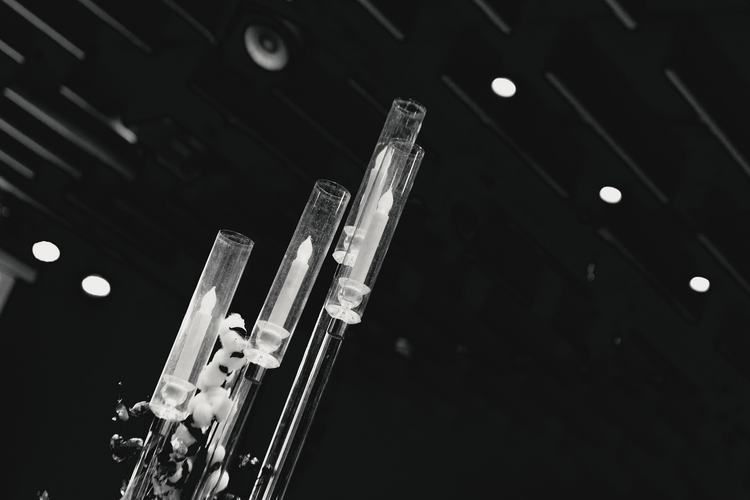 Мой стартап. LEVORIGINAL