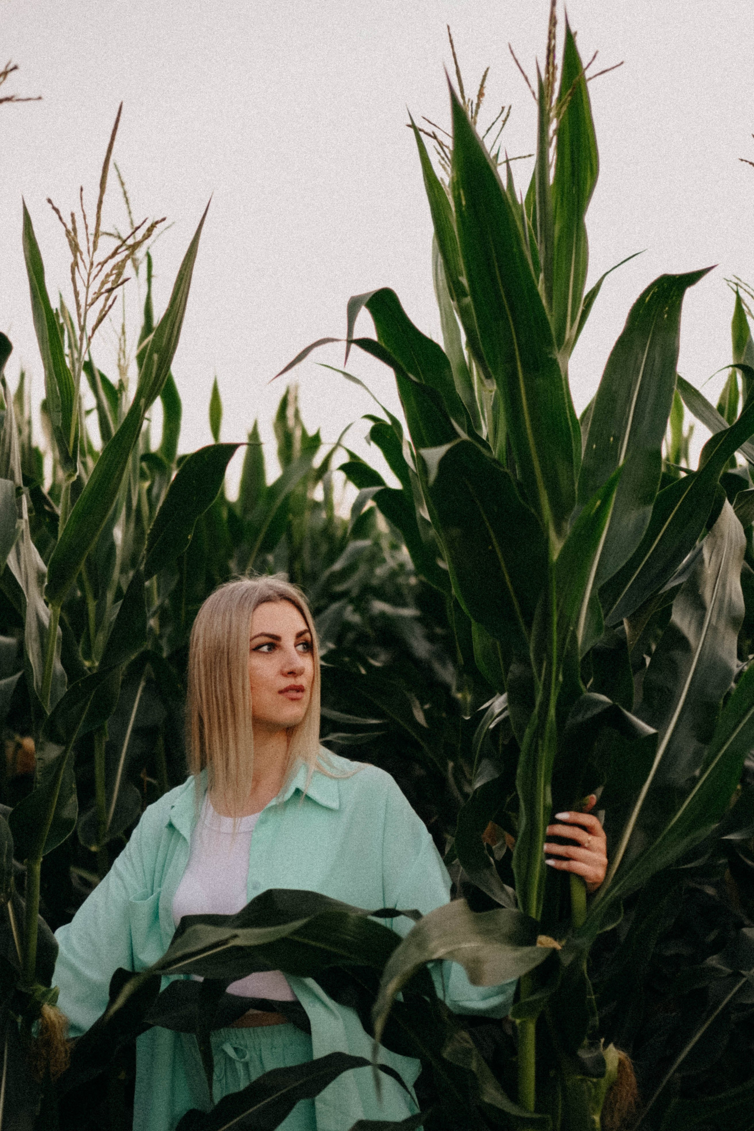 Летний вечер. Профессиональный фотограф, Санкт-Петербург — Виктория Богомолова