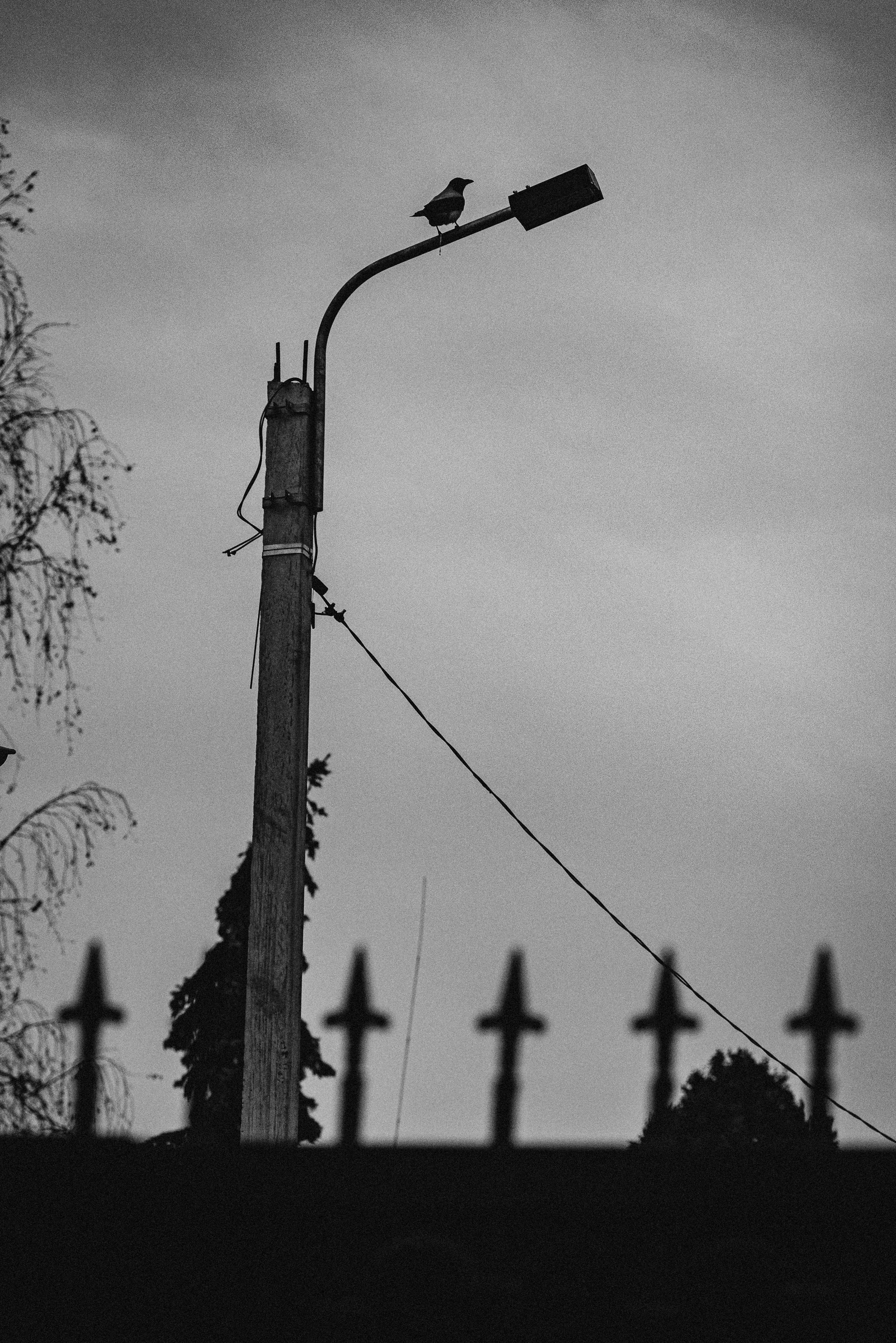 Проект #улицыгорода. Ярославль, ул. Республиканская. Документальный фотограф Илья Тихановский