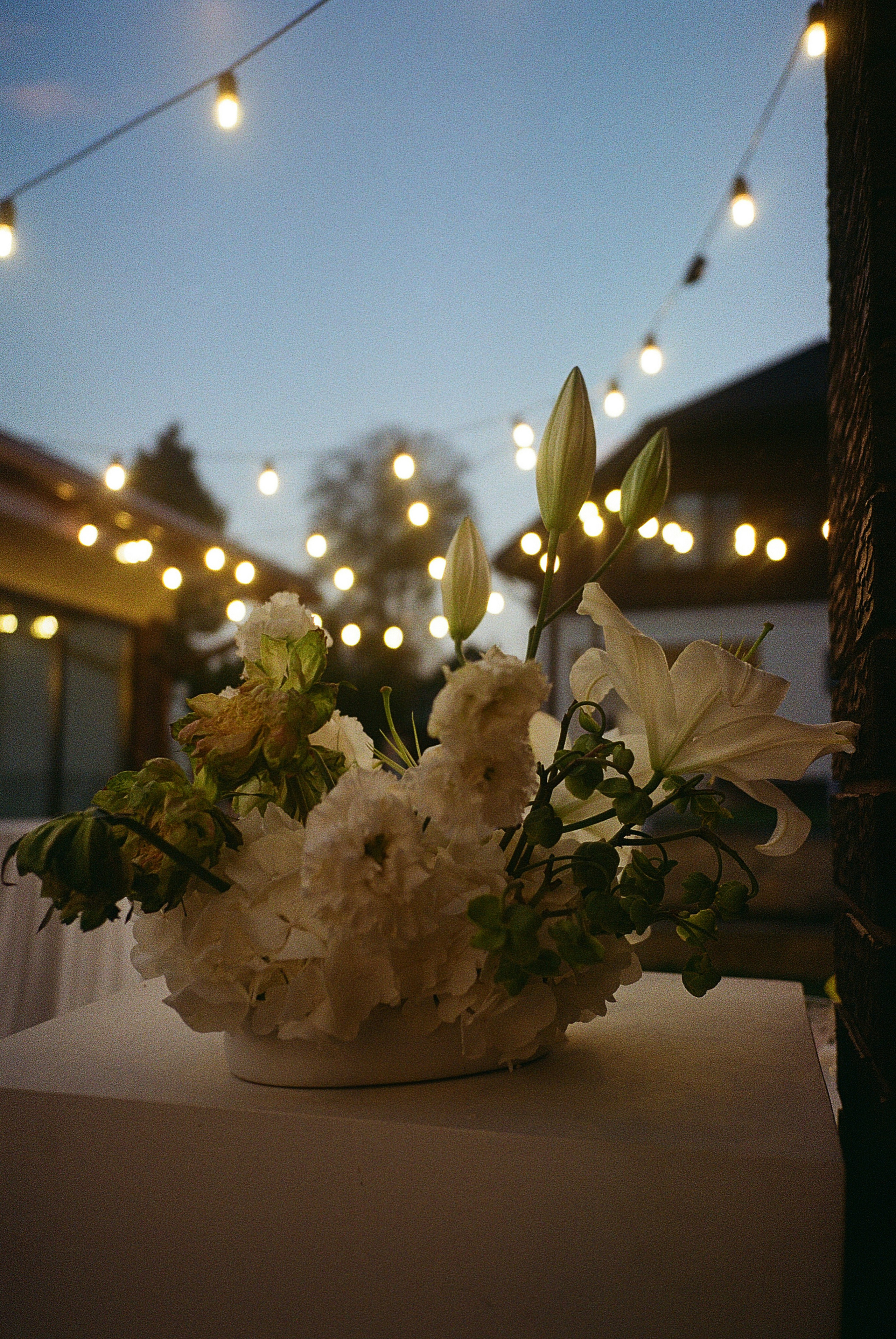 Alina & Vlad, Grand Chalet. Свадебный фотограф Кристина Винокурова