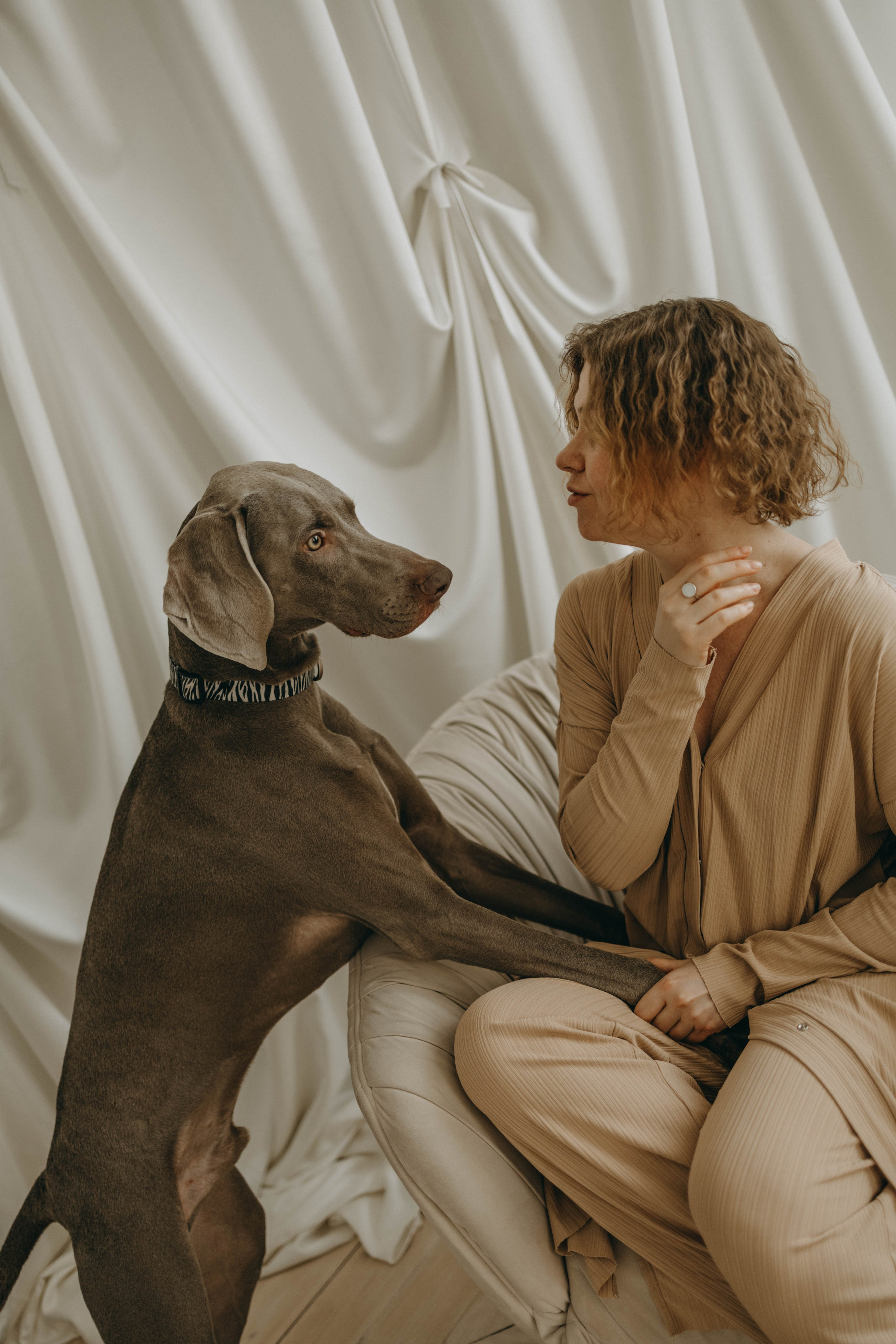 Фотосессия в студии с собакой. Фотограф-анималист в Екатеринбурге | Кристина