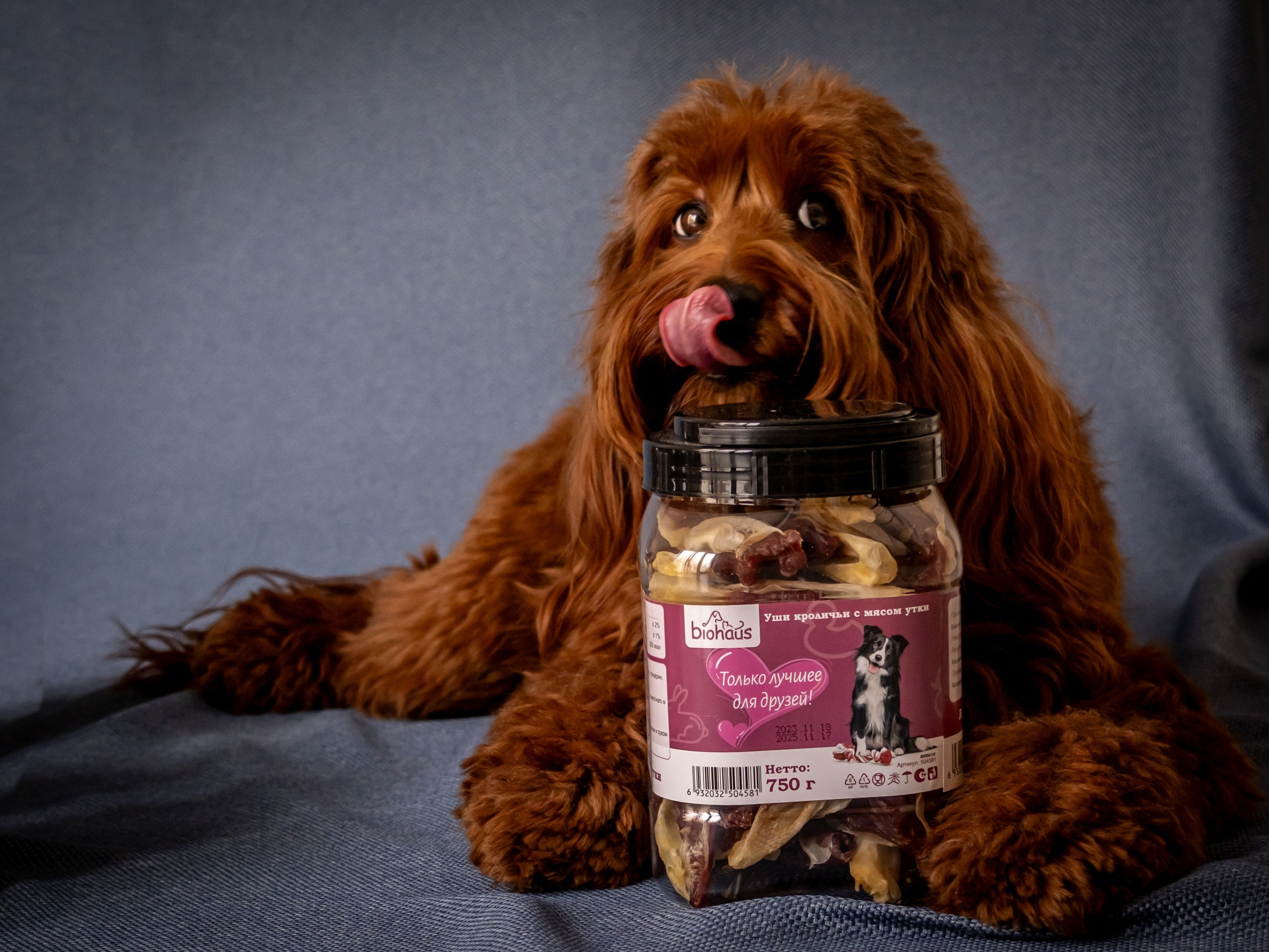 Съёмка для рекламы лакомства для собак (для Марии)!. Зоофотограф, фотограф животных в Москве и области Дина Дамоцева