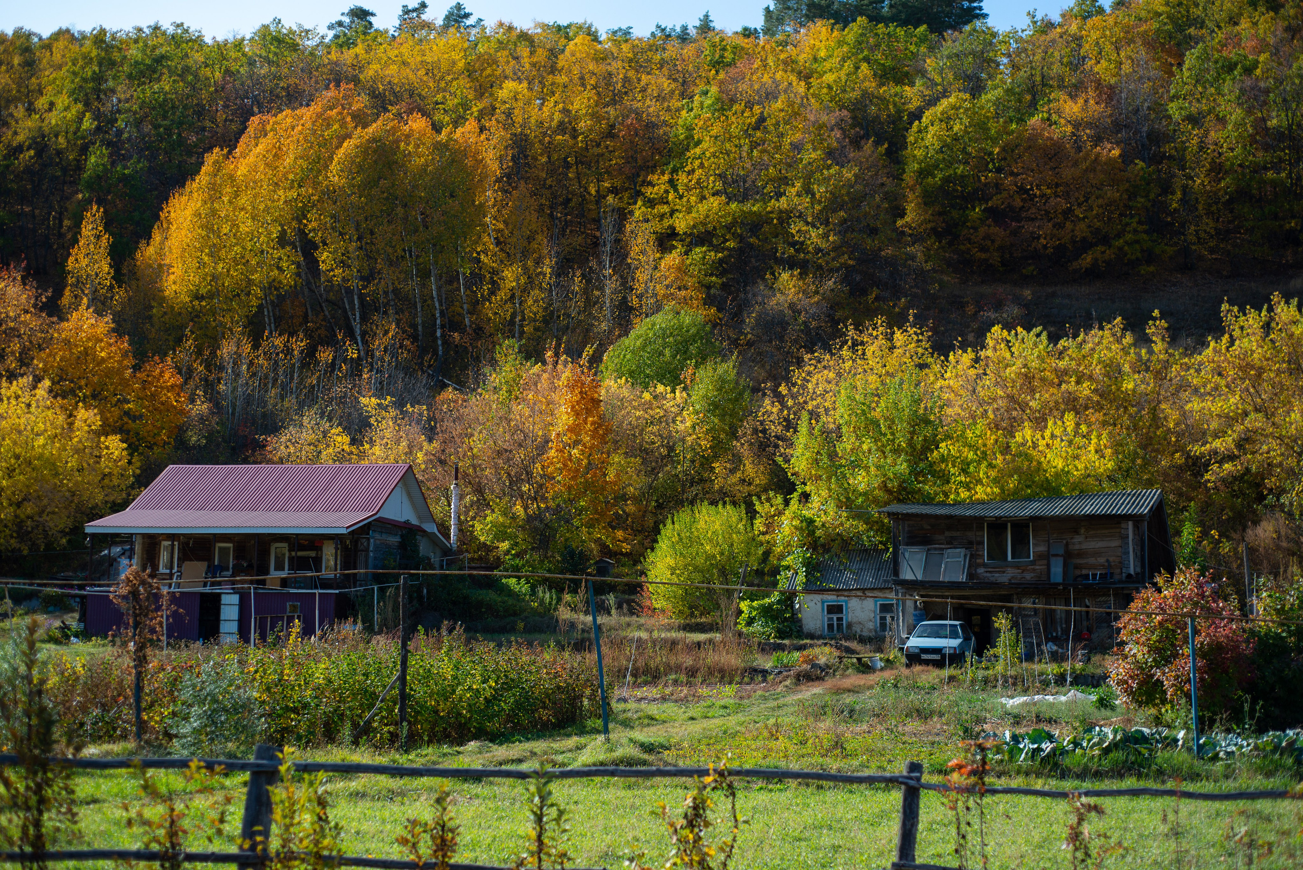 Пейзажи. Фотограф в Санкт-Петербурге Мария Мельникова