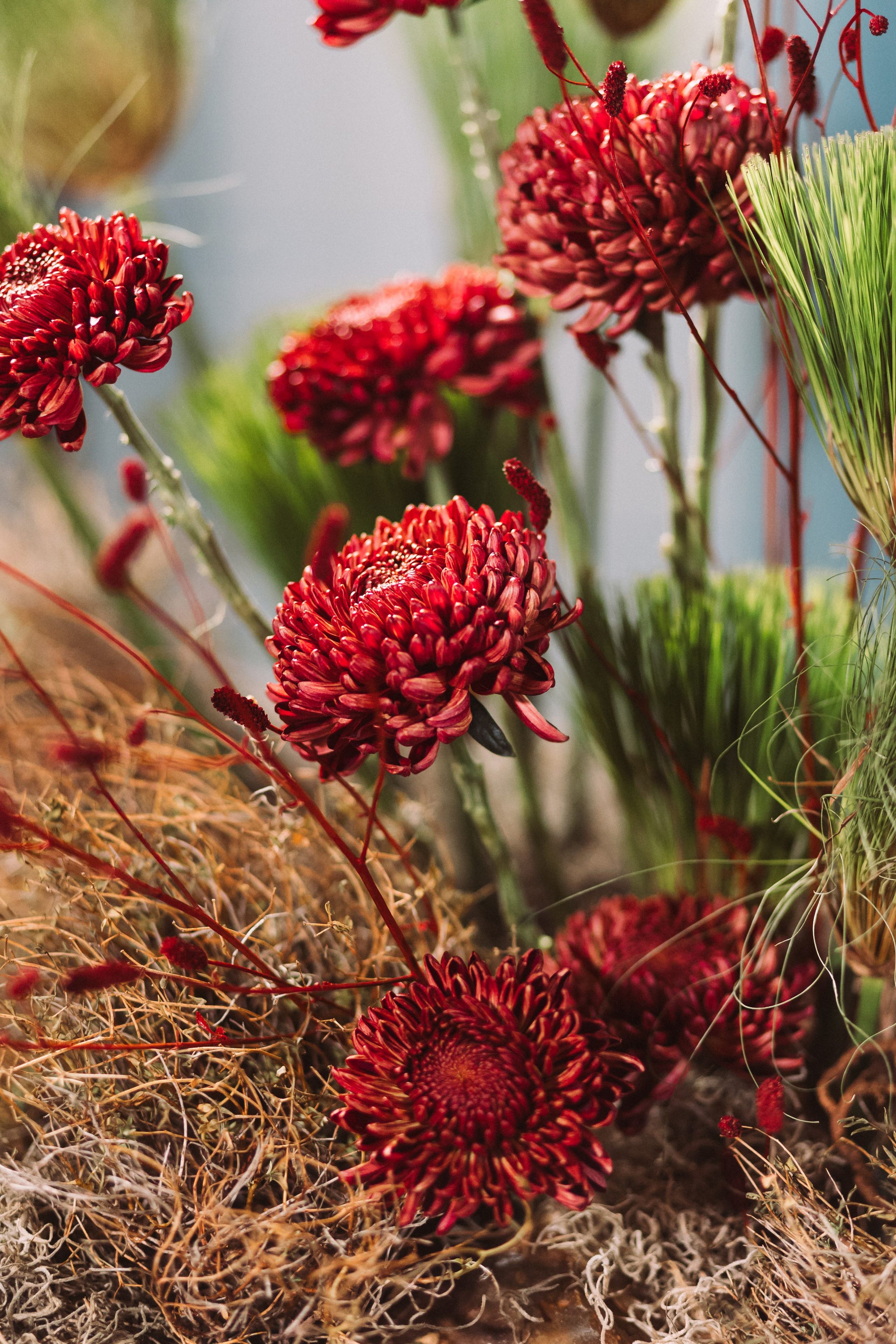 OSPY CONF — конференция для декораторов. Свадебный и контент фотограф в Москве — Юлия Барно (Баранова)