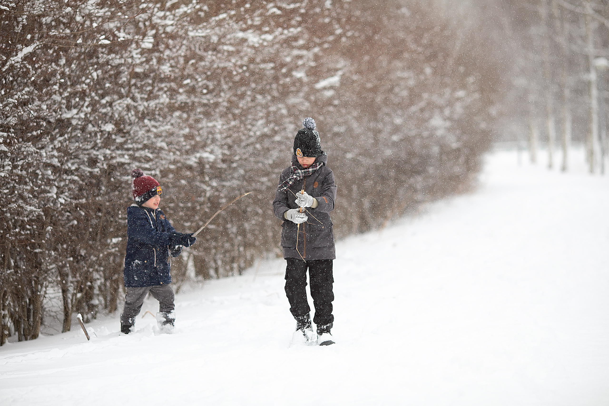 Зимняя радость. Главная