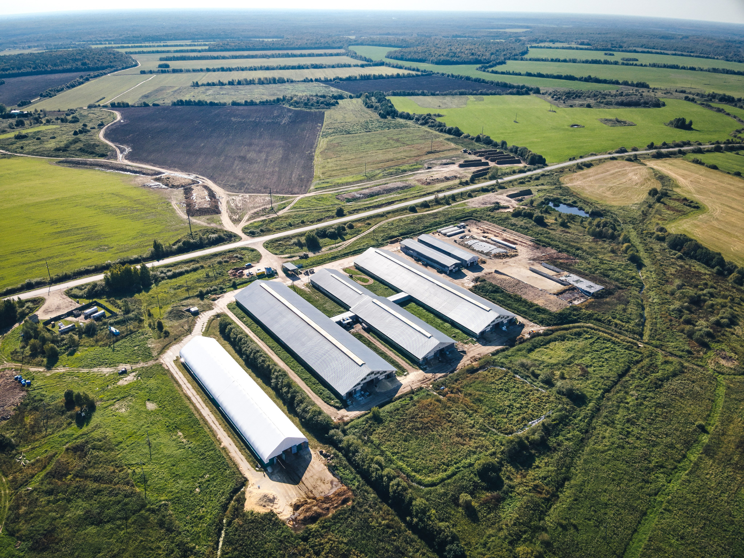 комплекс коровников и поля на горизонте