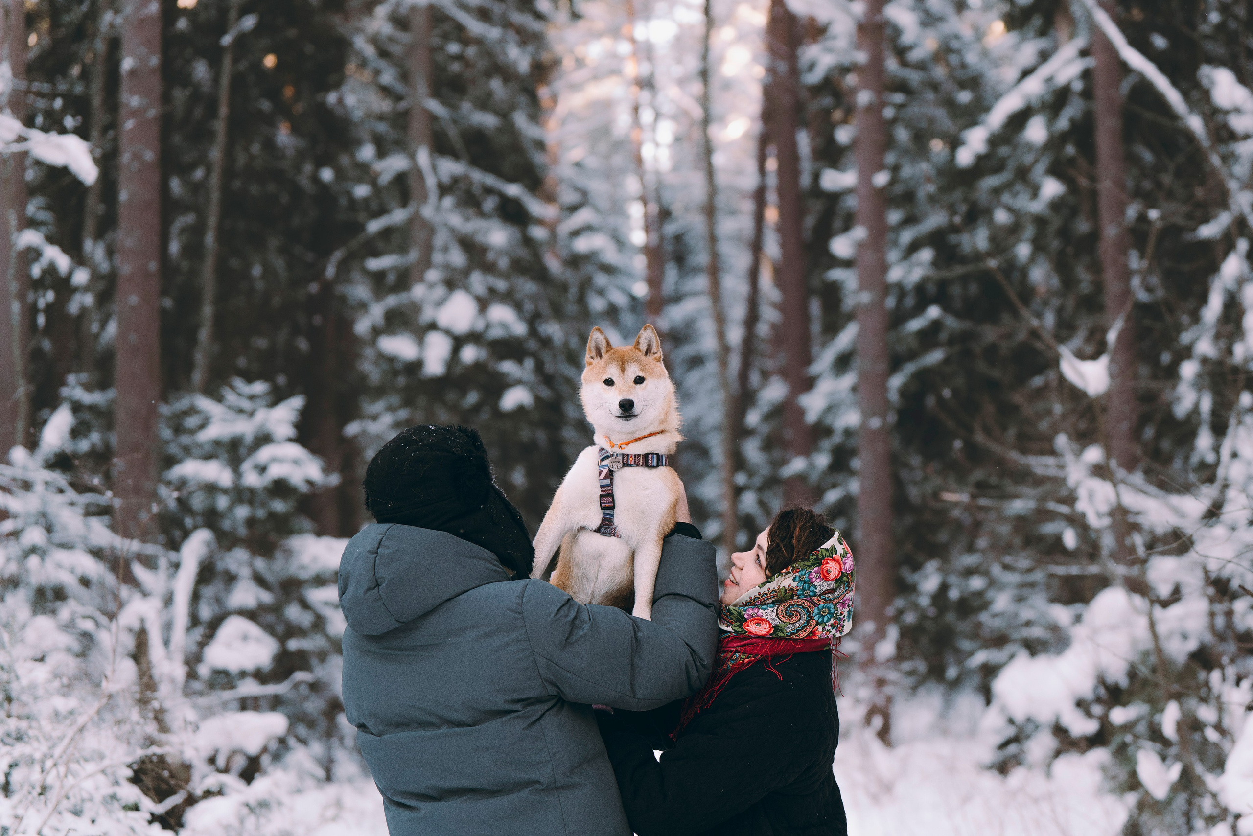 Каори, Анна и Антон. Фотограф анималист в Спб недорого Олеся Майорова