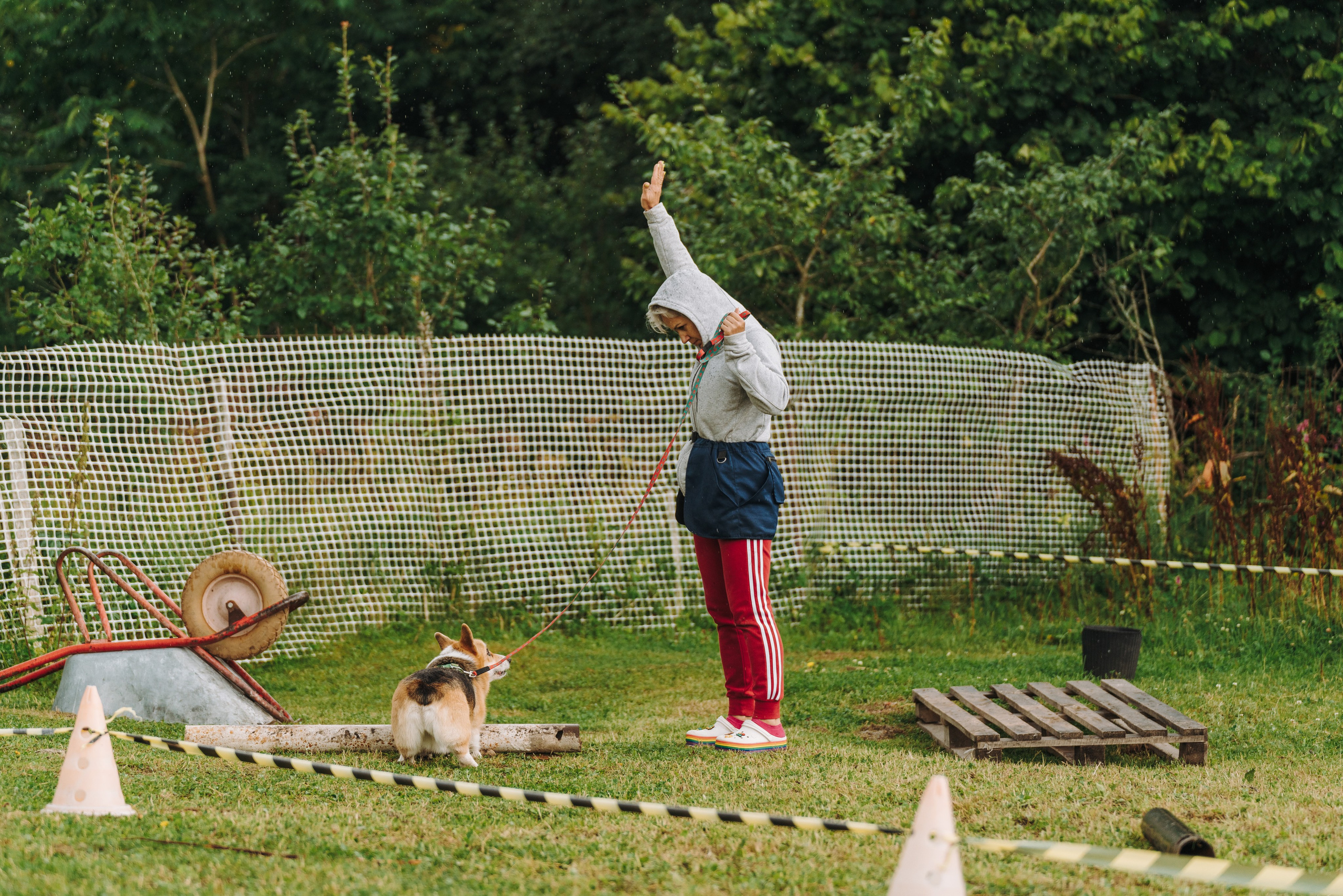 Соревнования по ноузворку в Новожилово. Фотограф анималист в Спб недорого Олеся Майорова