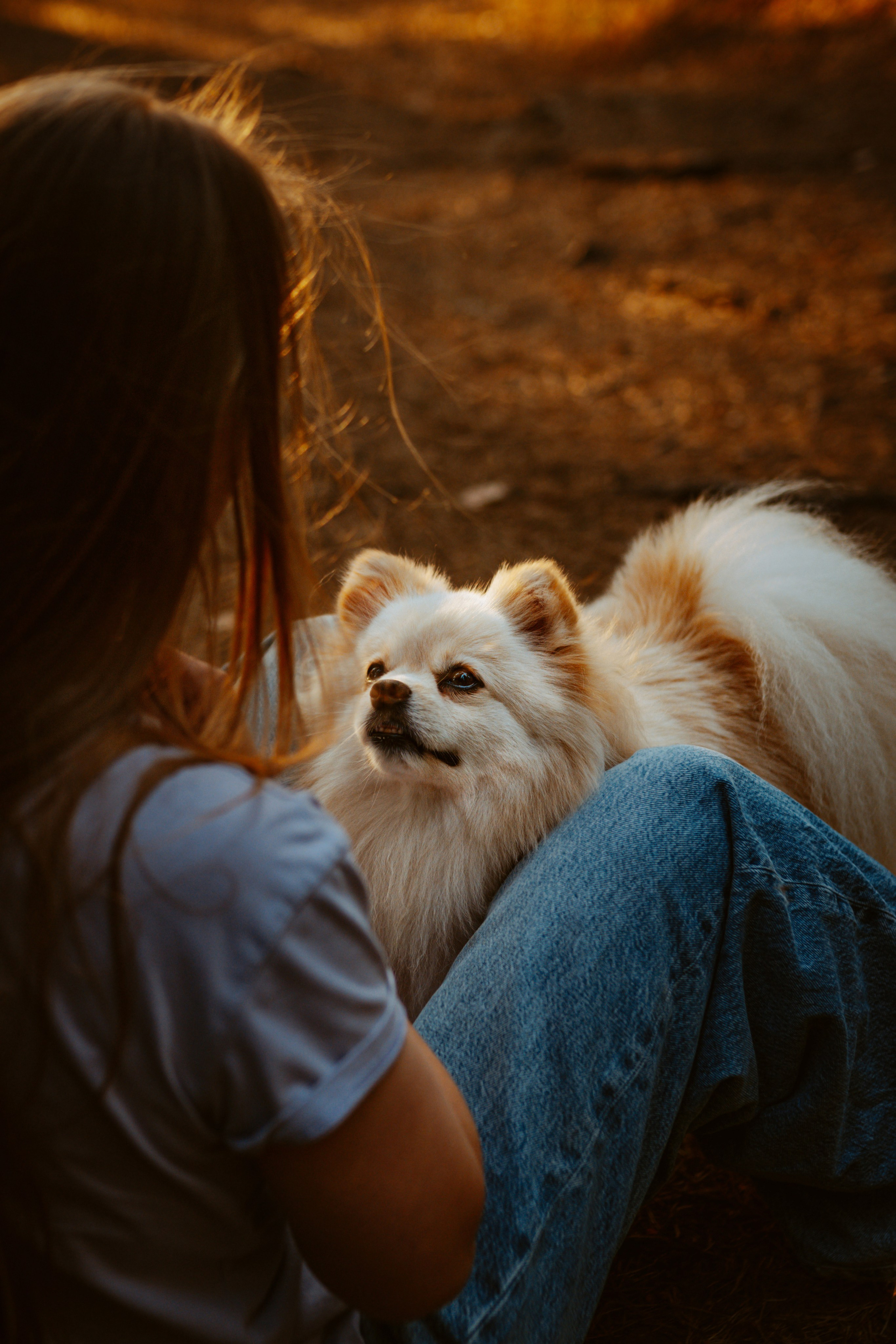 Фотосессия с собачкой в лесу. Фотограф анималист в Спб недорого Олеся Майорова