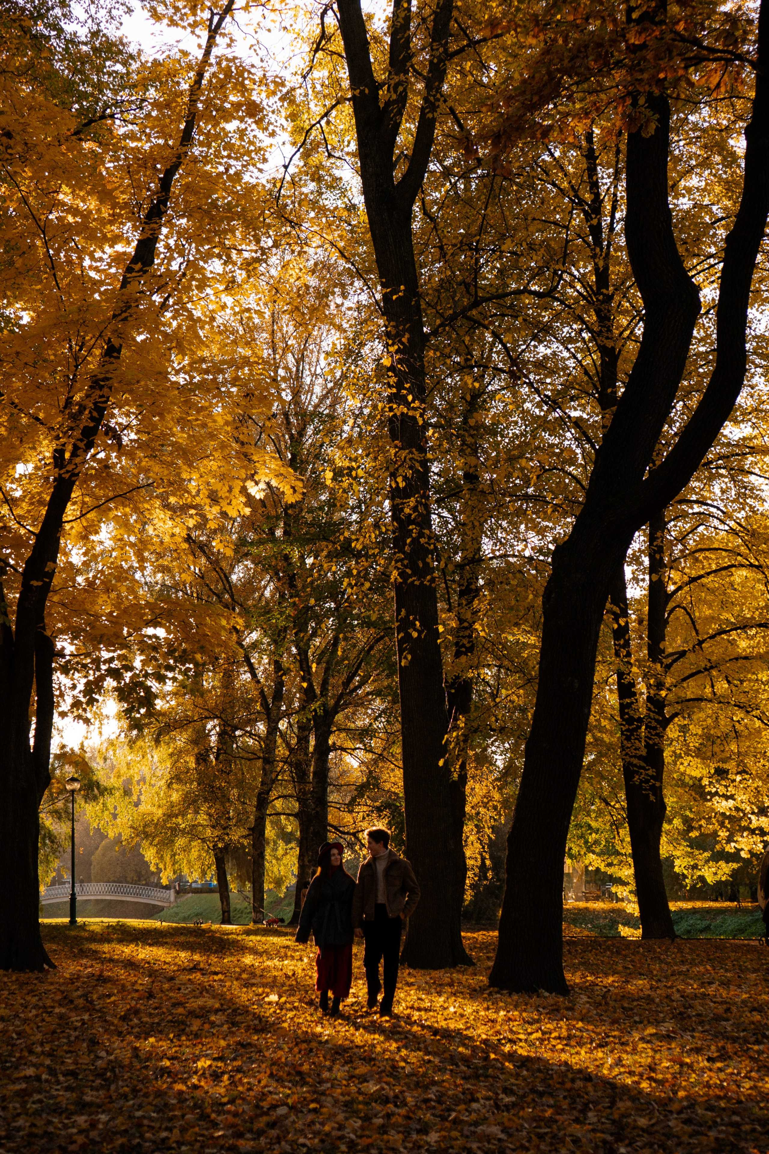 ОСЕННЯЯ ПРОГУЛКА. Профессиональный фотограф, Санкт-Петербург — Виктория Богомолова