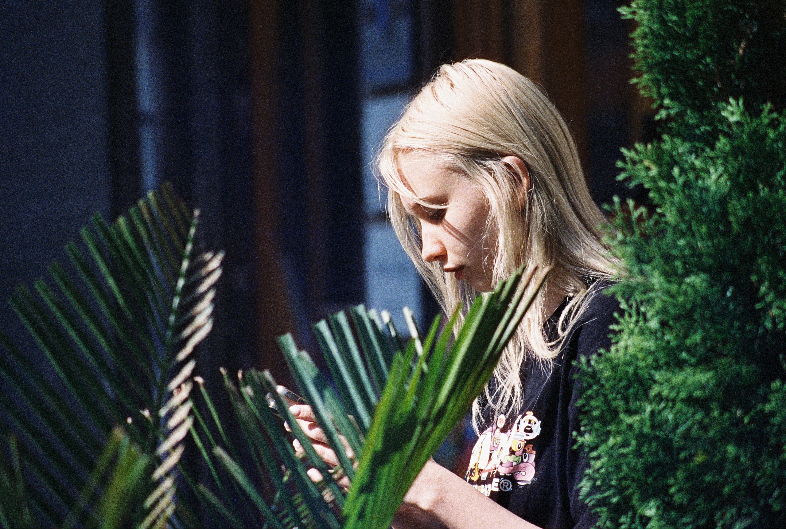 Плёночная фотография. Фотограф Денис Кириллов