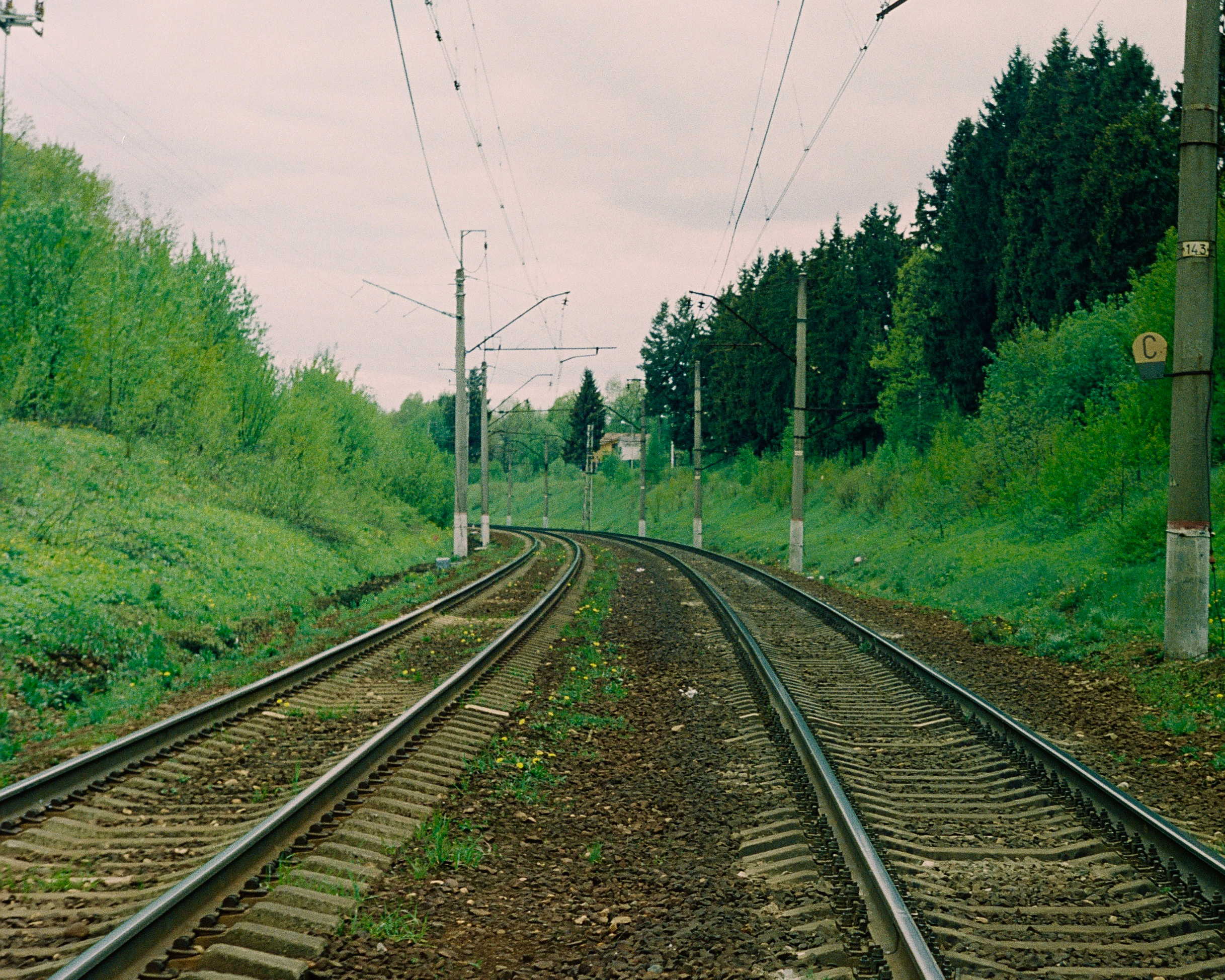 Плёночная фотография. Фотограф Денис Кириллов