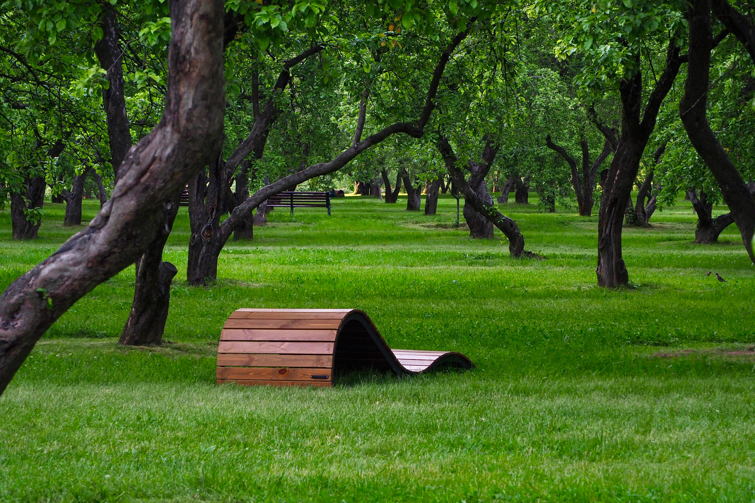 Times and Epochs 2023. Kolomenskoye. Denis Kirillov