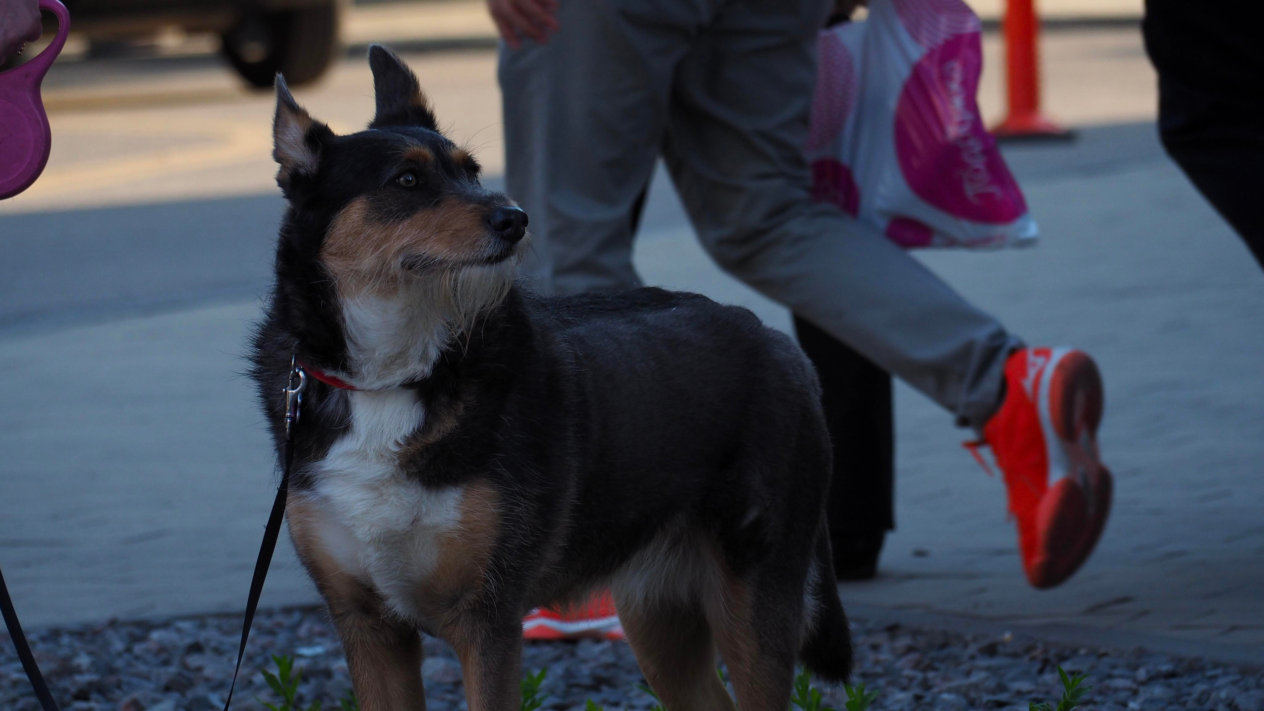 Street. Denis Kirillov